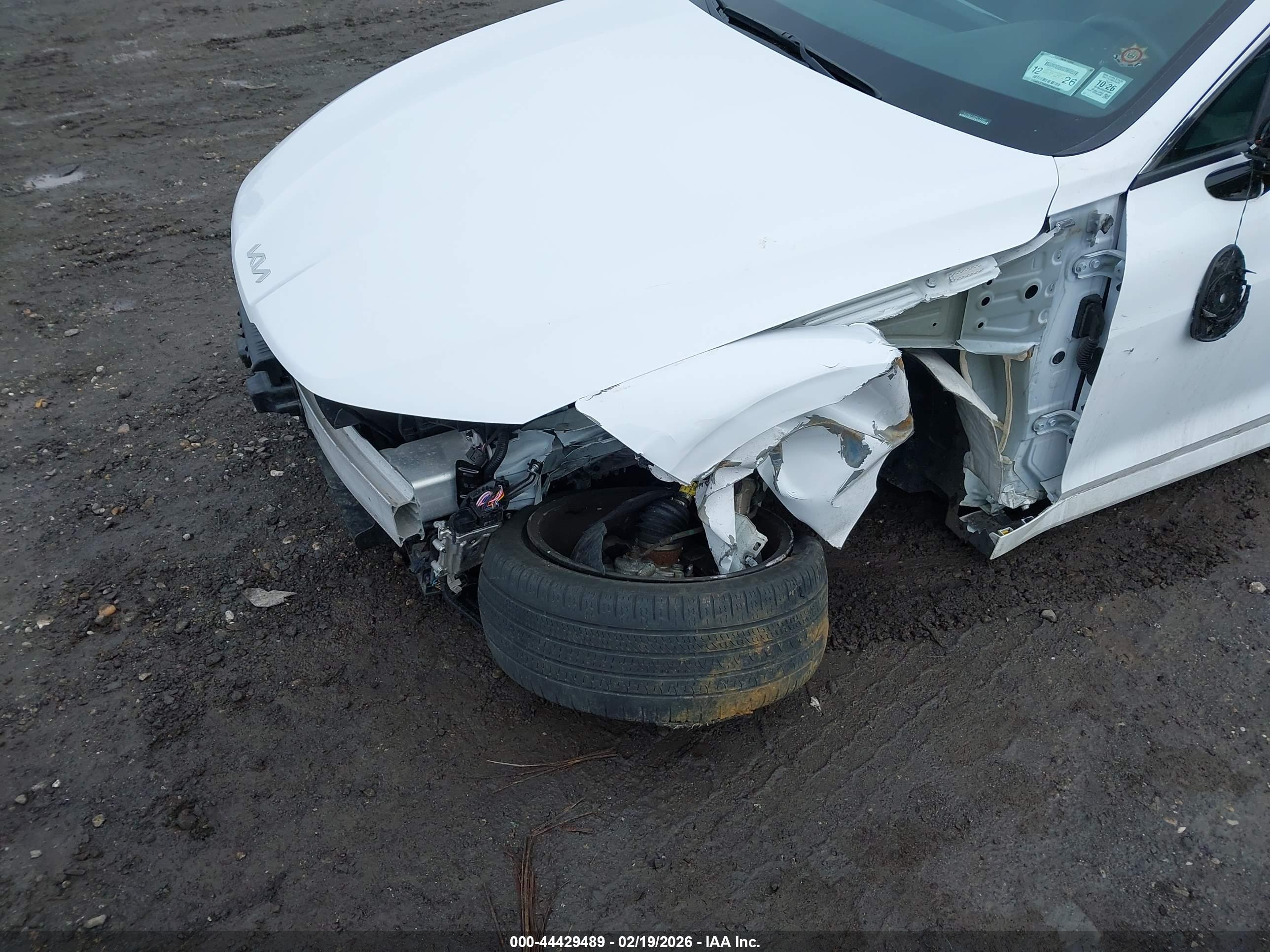 KIA K5 image 6