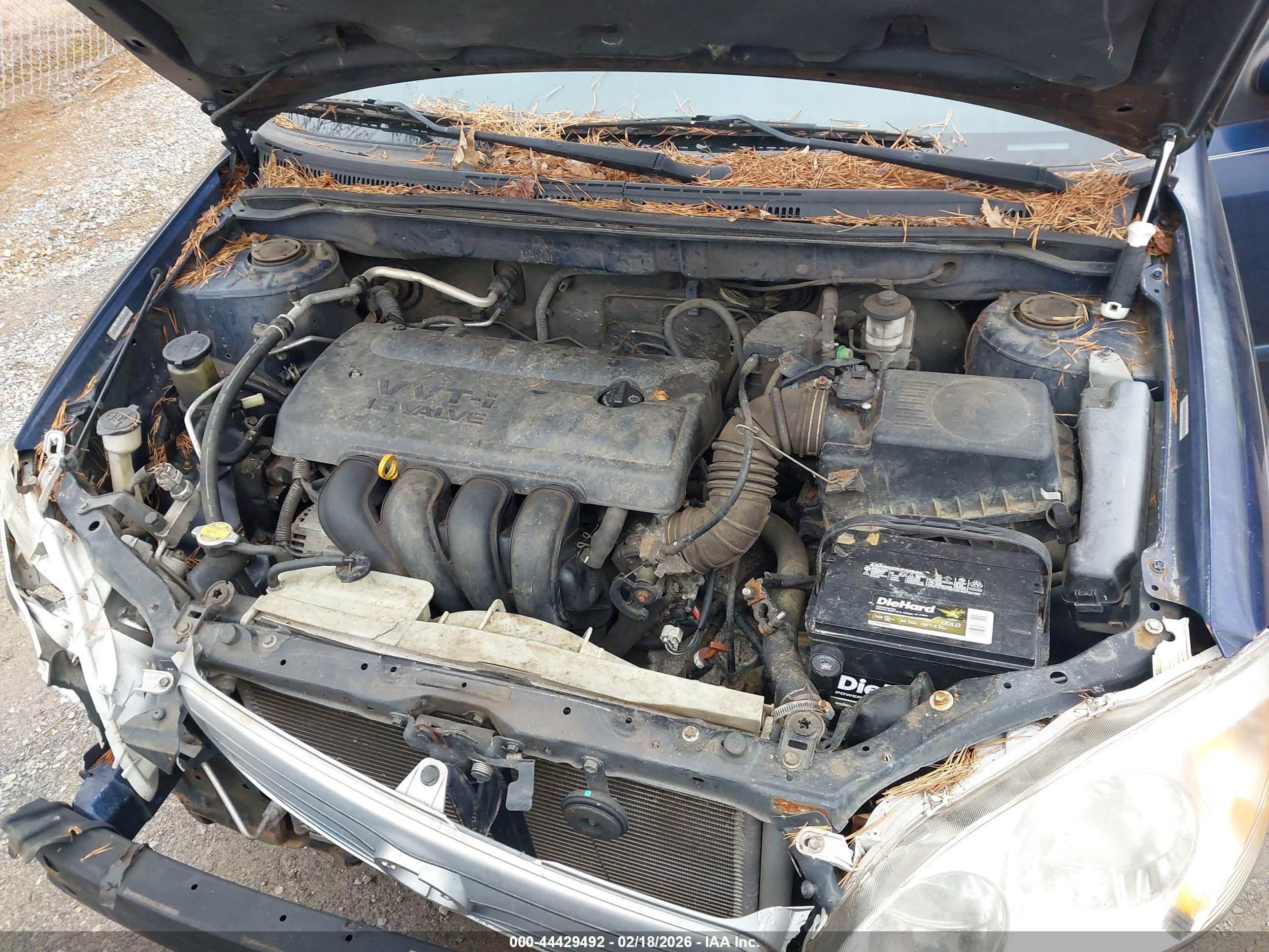 TOYOTA COROLLA image 10
