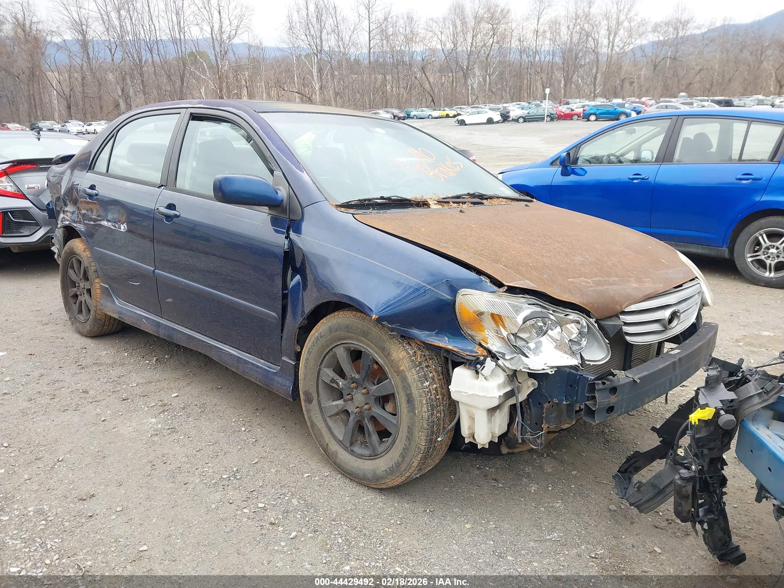 TOYOTA COROLLA image 6