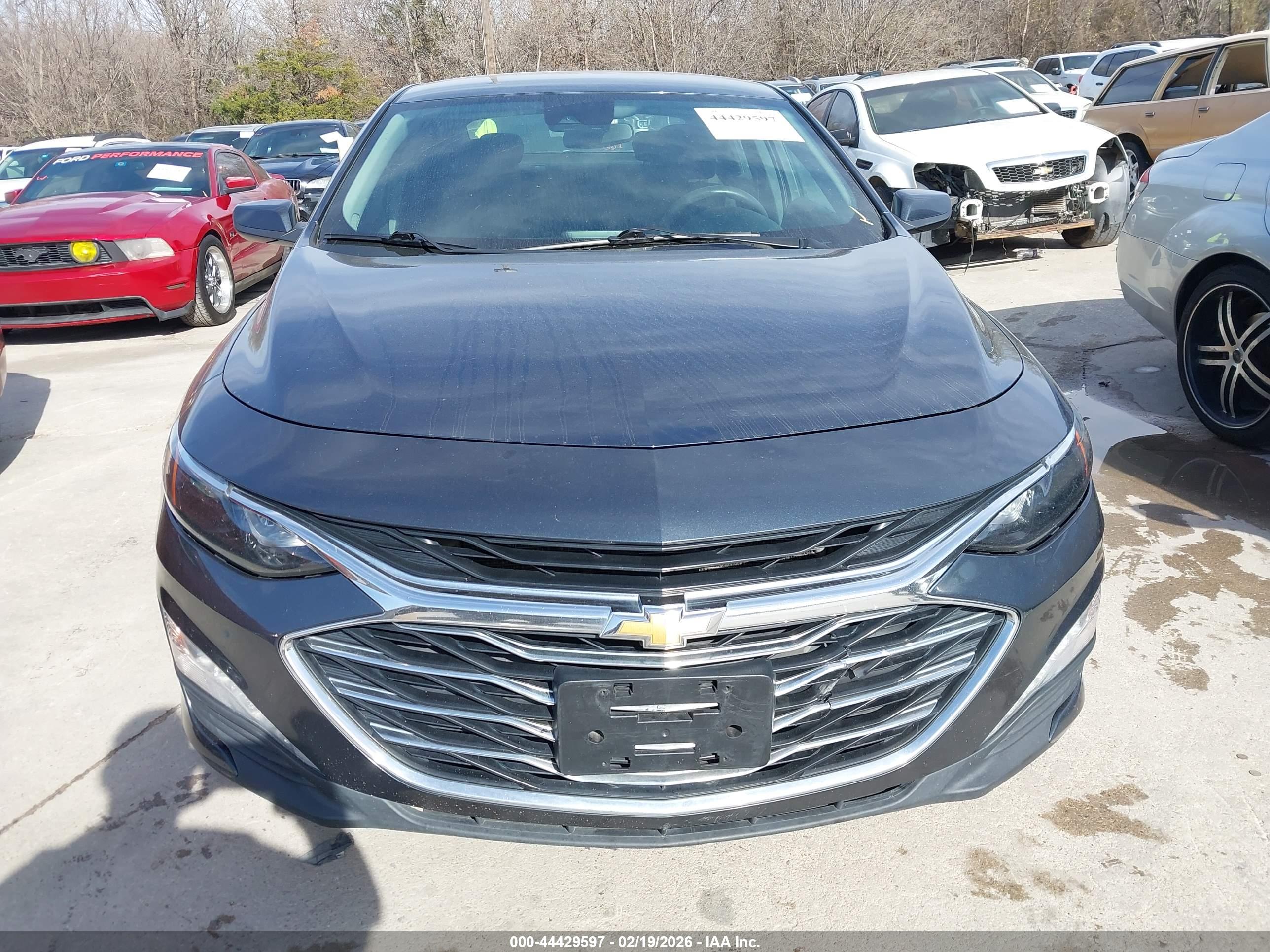 CHEVROLET MALIBU image 6