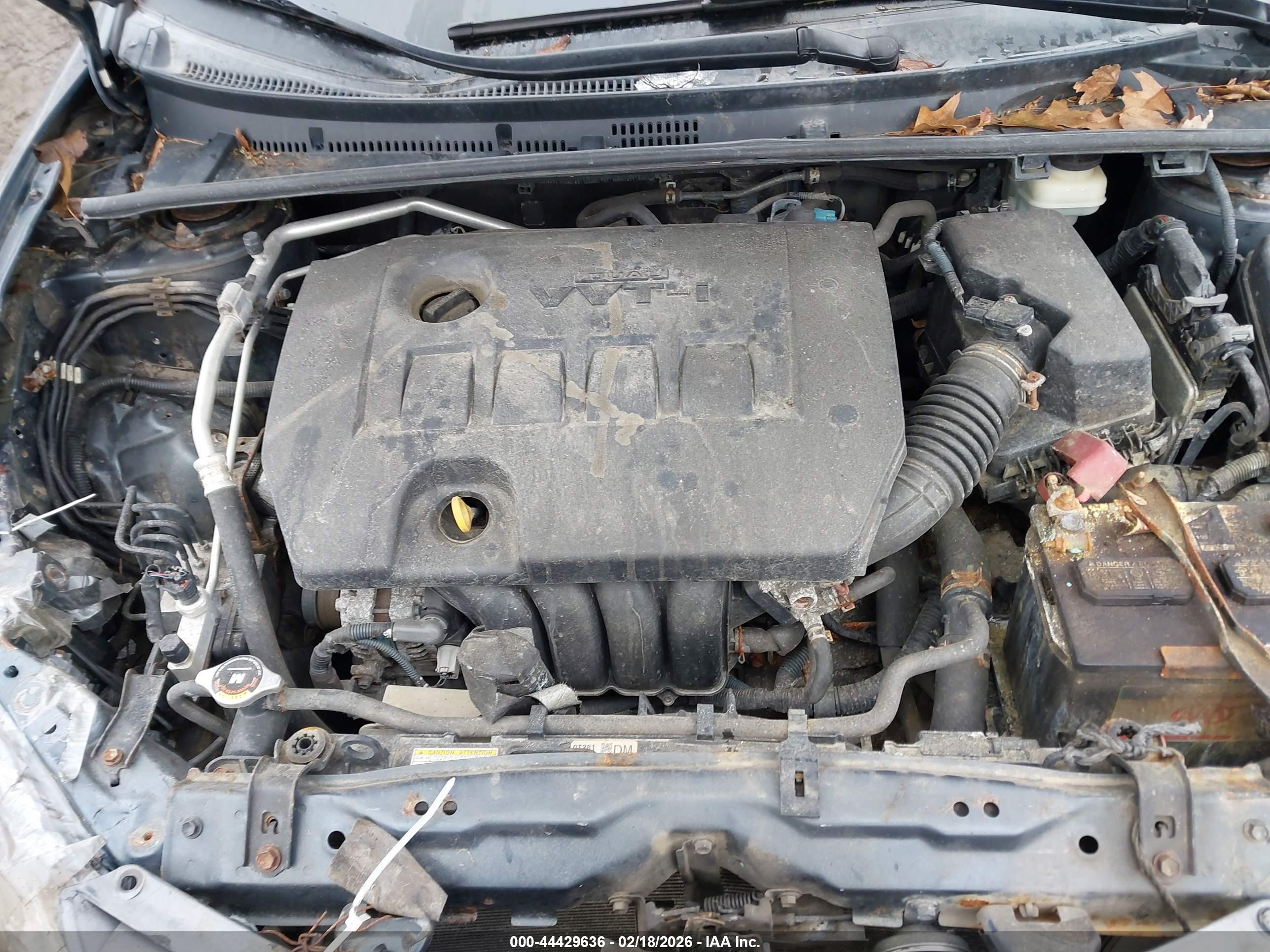TOYOTA COROLLA image 10
