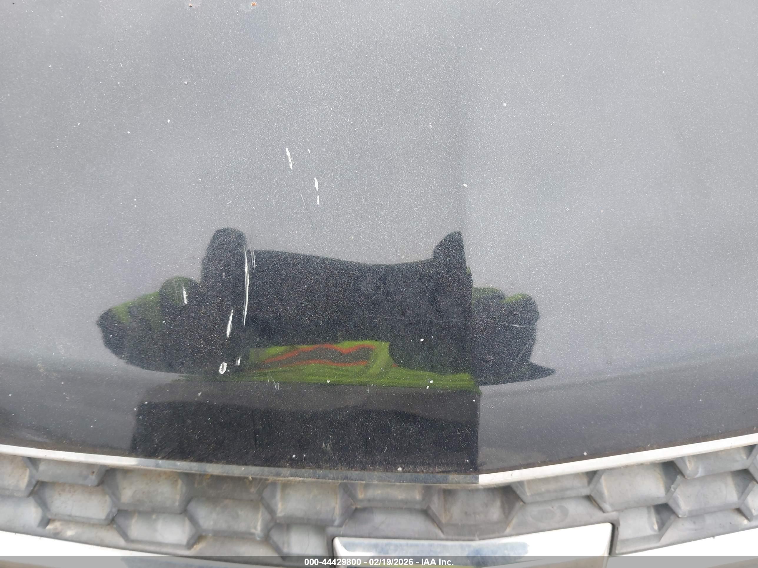 CHEVROLET CRUZE image 6