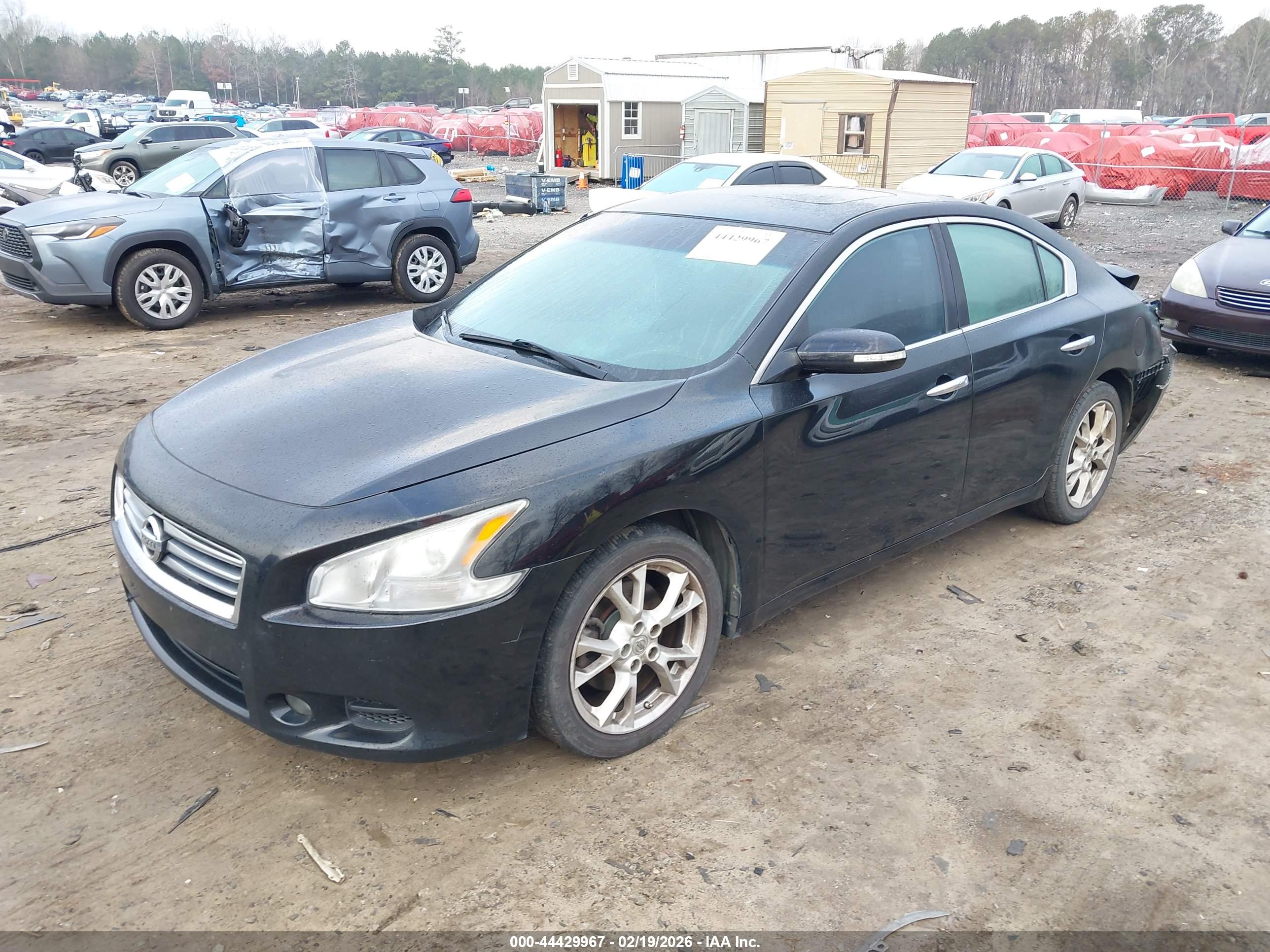 NISSAN MAXIMA image 2
