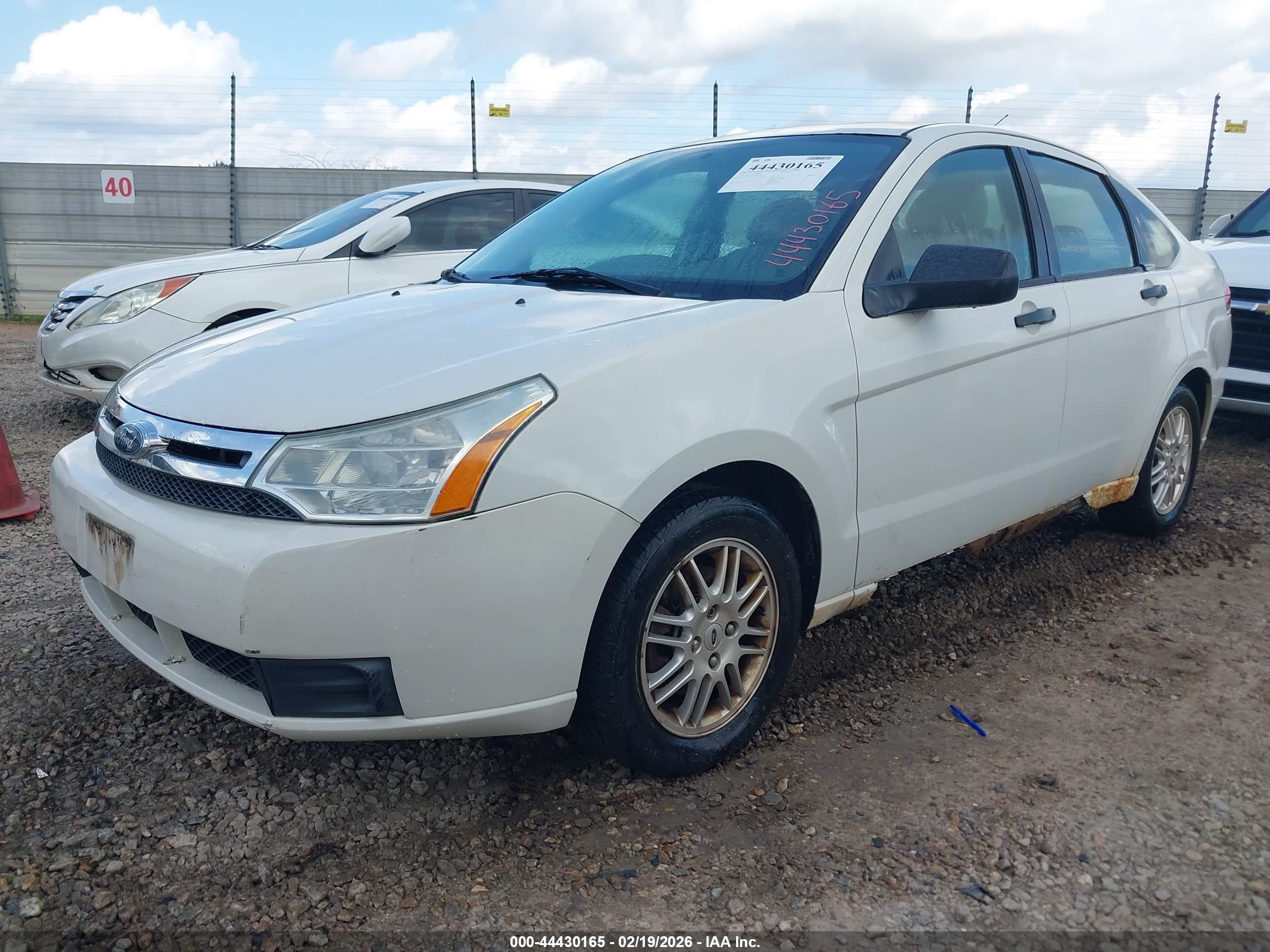 FORD FOCUS image 2