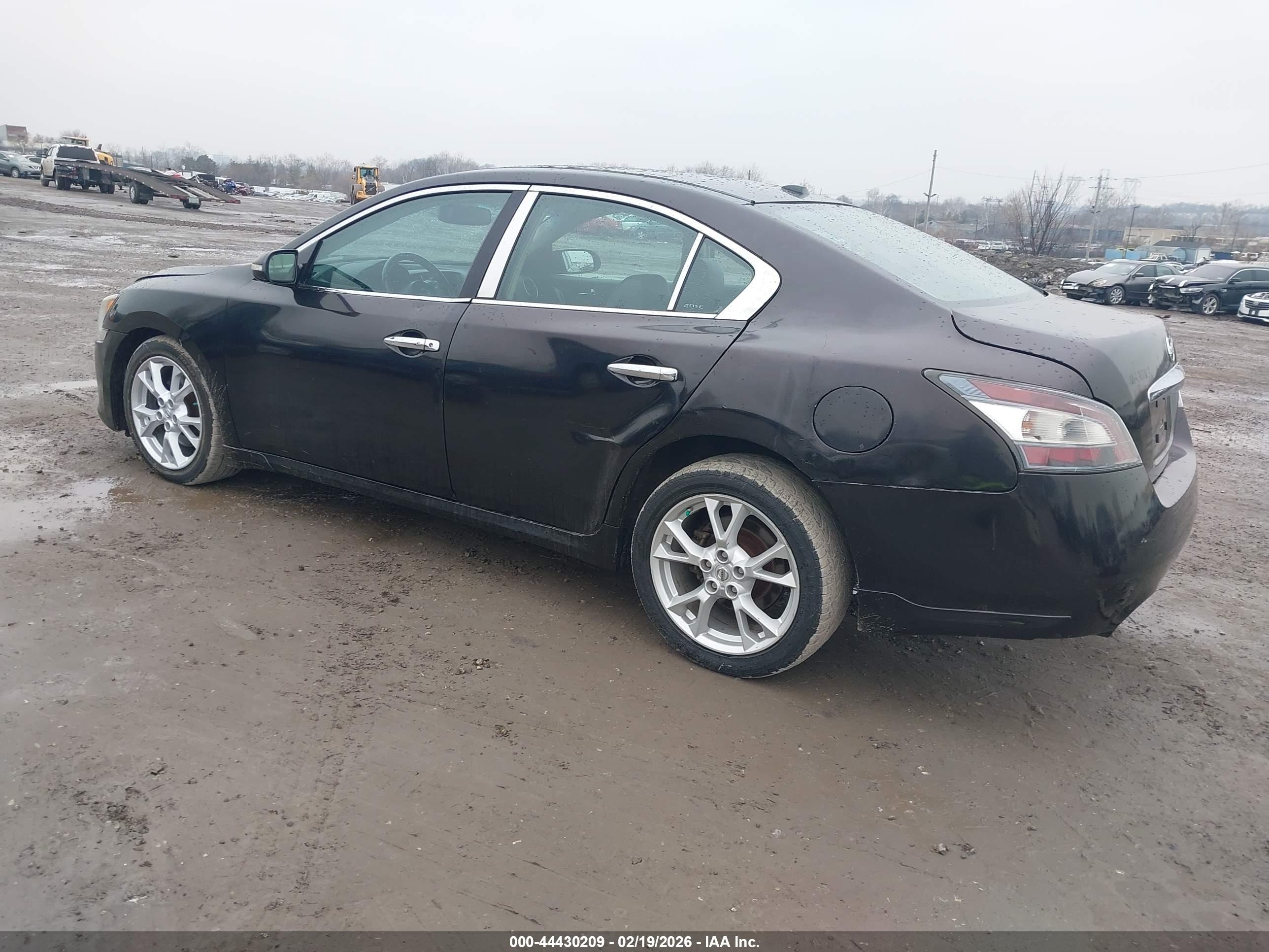 NISSAN MAXIMA image 3