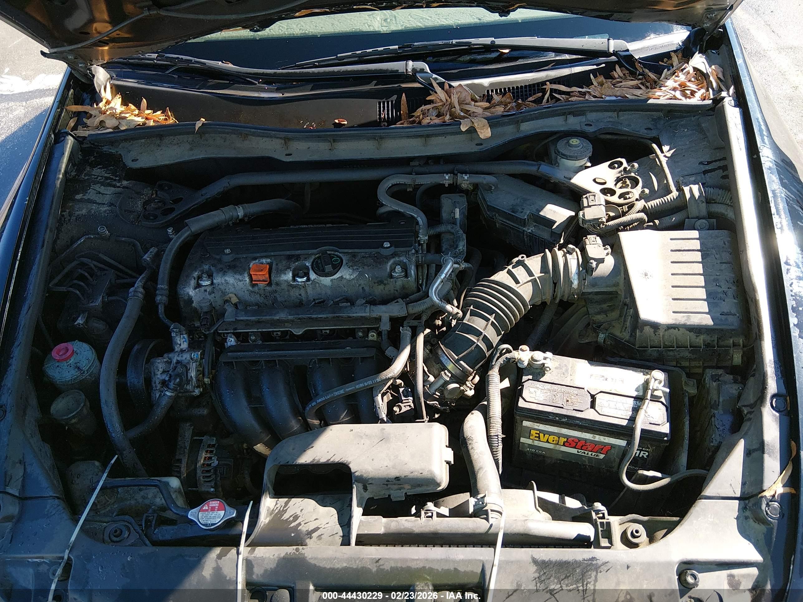 HONDA ACCORD image 10