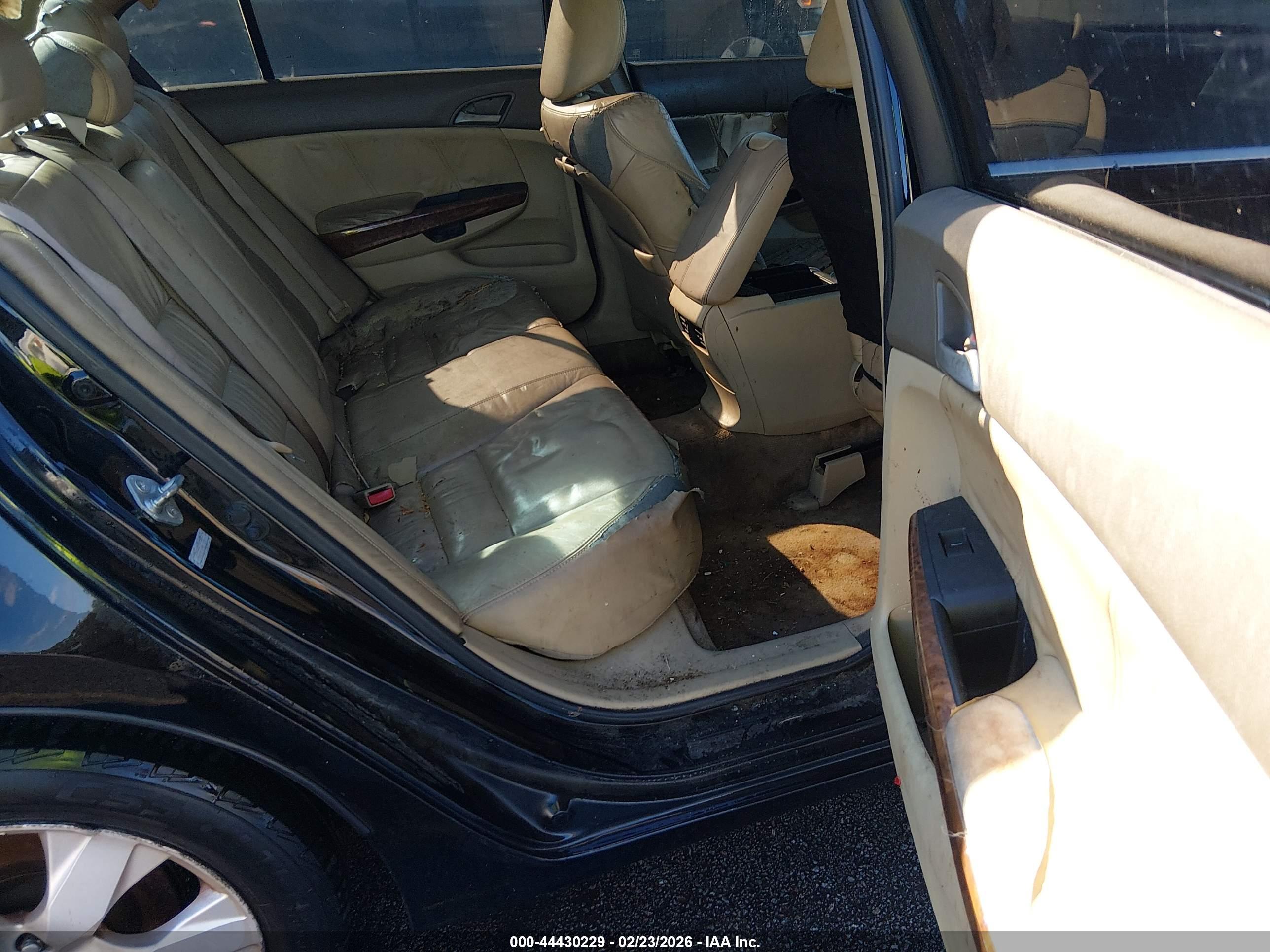 HONDA ACCORD image 8