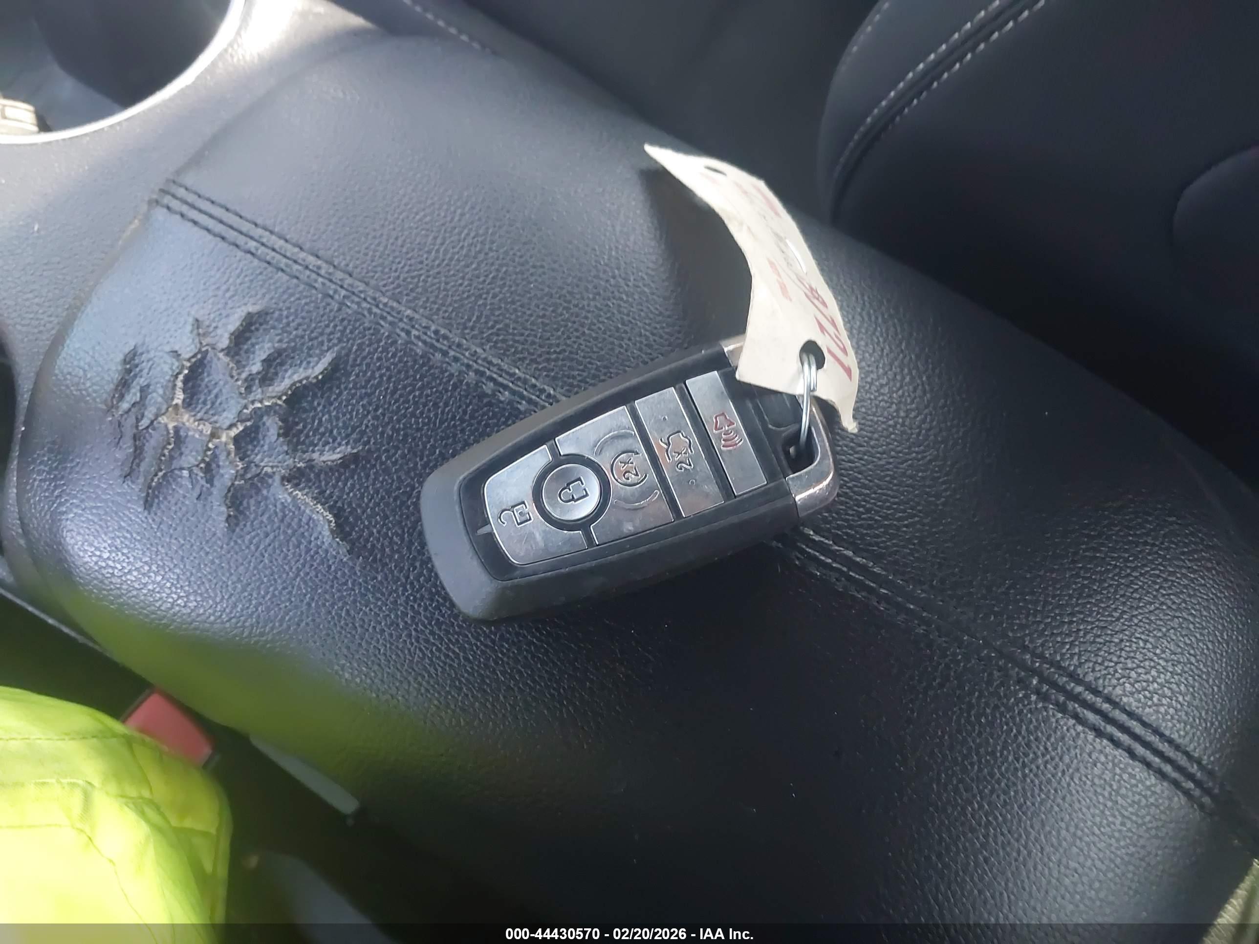 FORD MUSTANG image 11