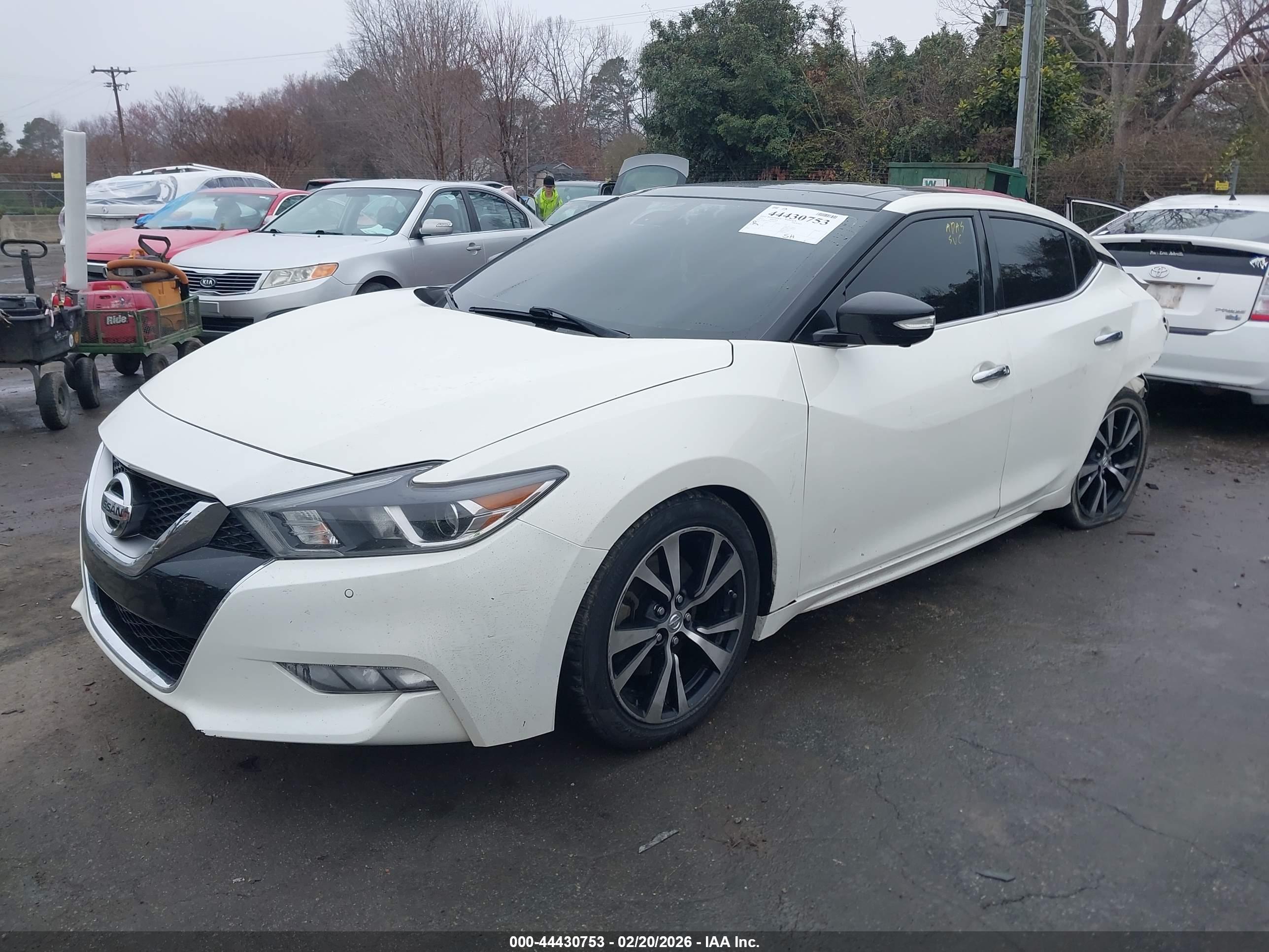 NISSAN MAXIMA image 2