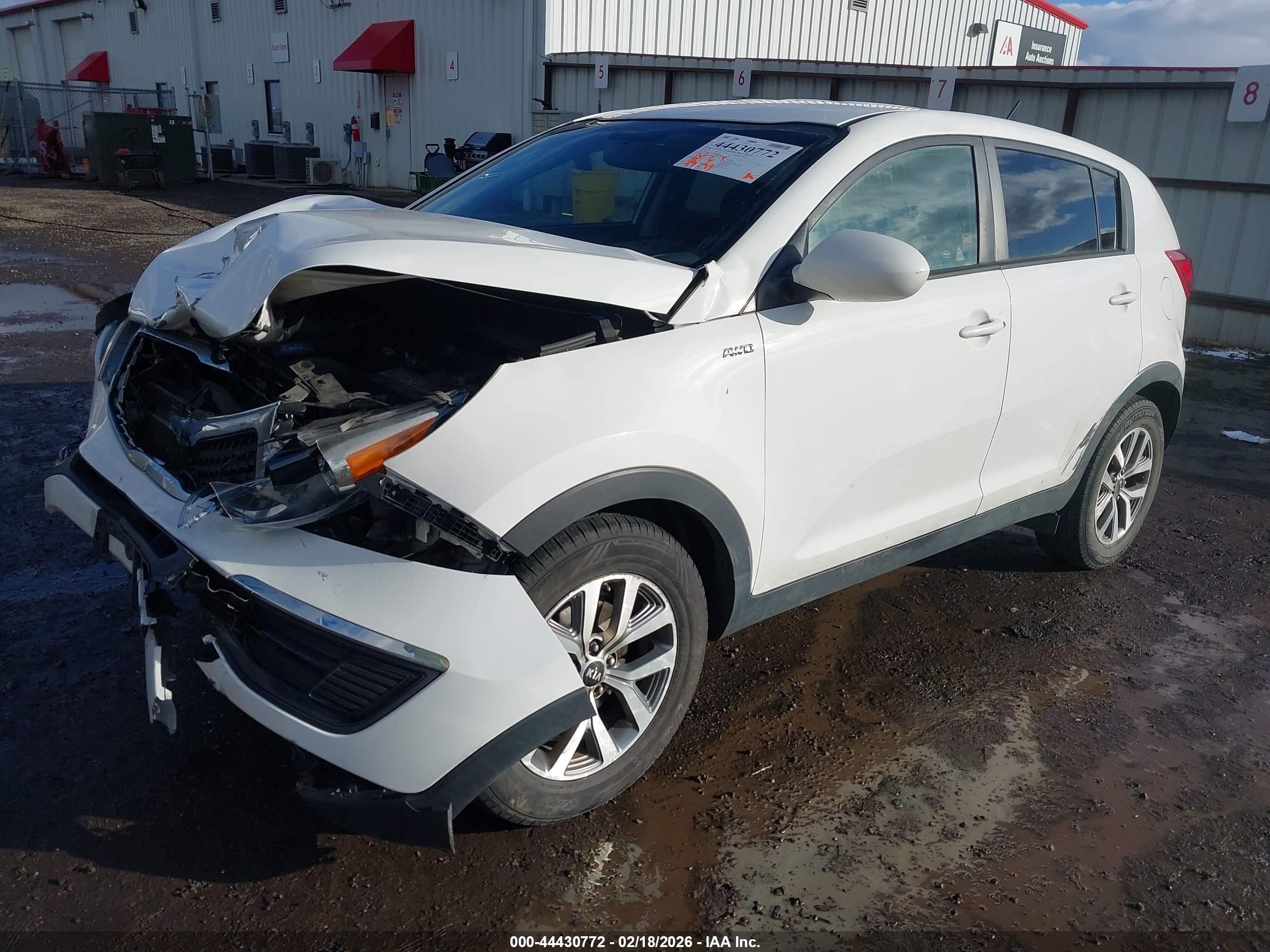 KIA SPORTAGE image 2