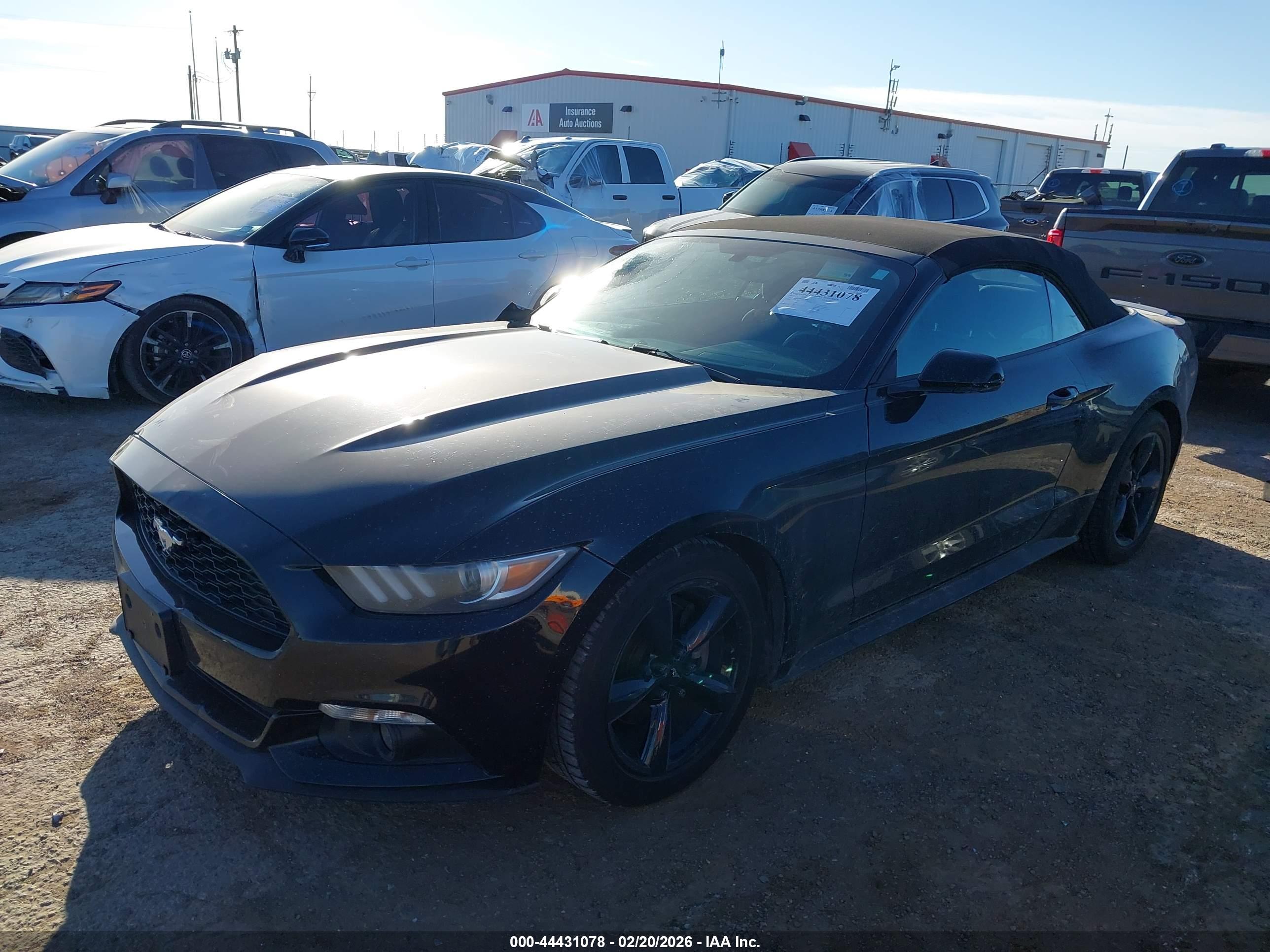 FORD MUSTANG image 2