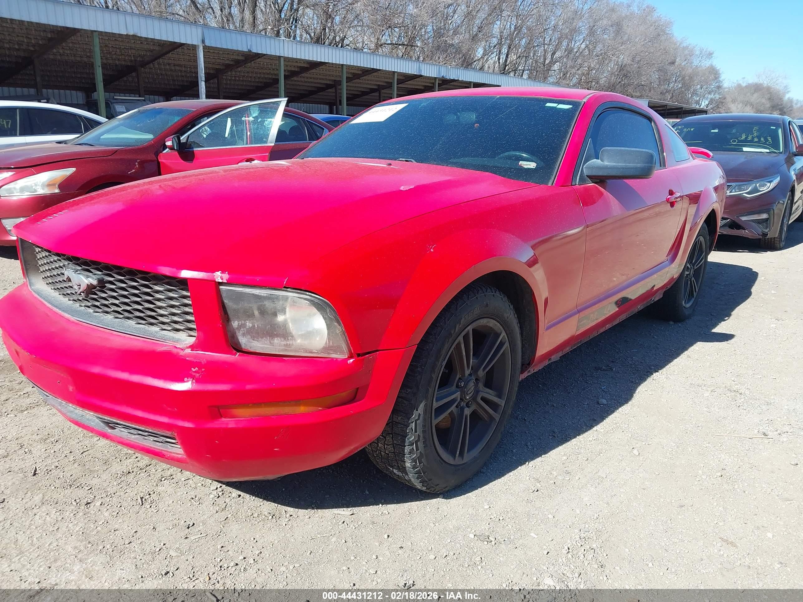 FORD MUSTANG image 2