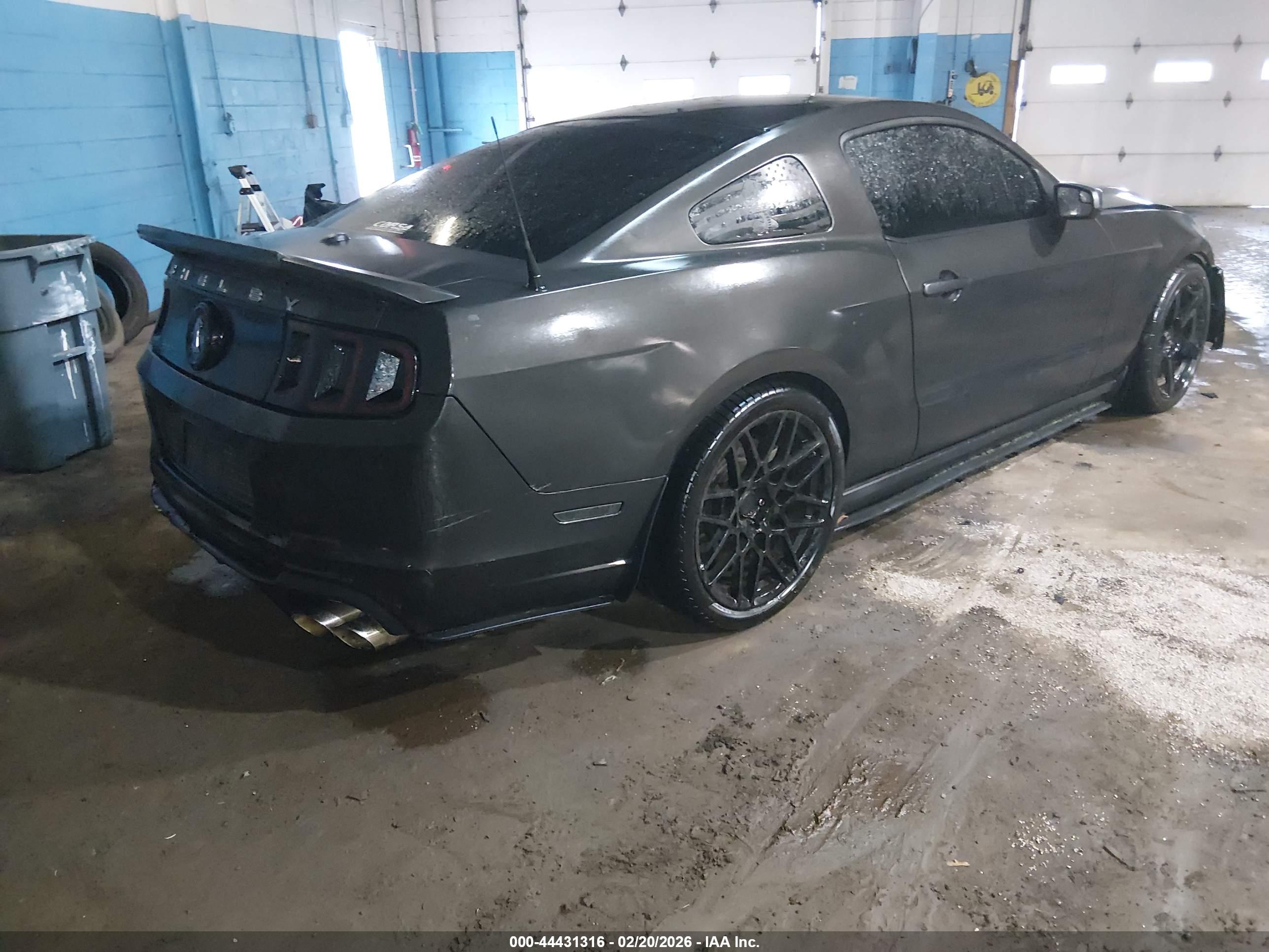 FORD SHELBY image 4