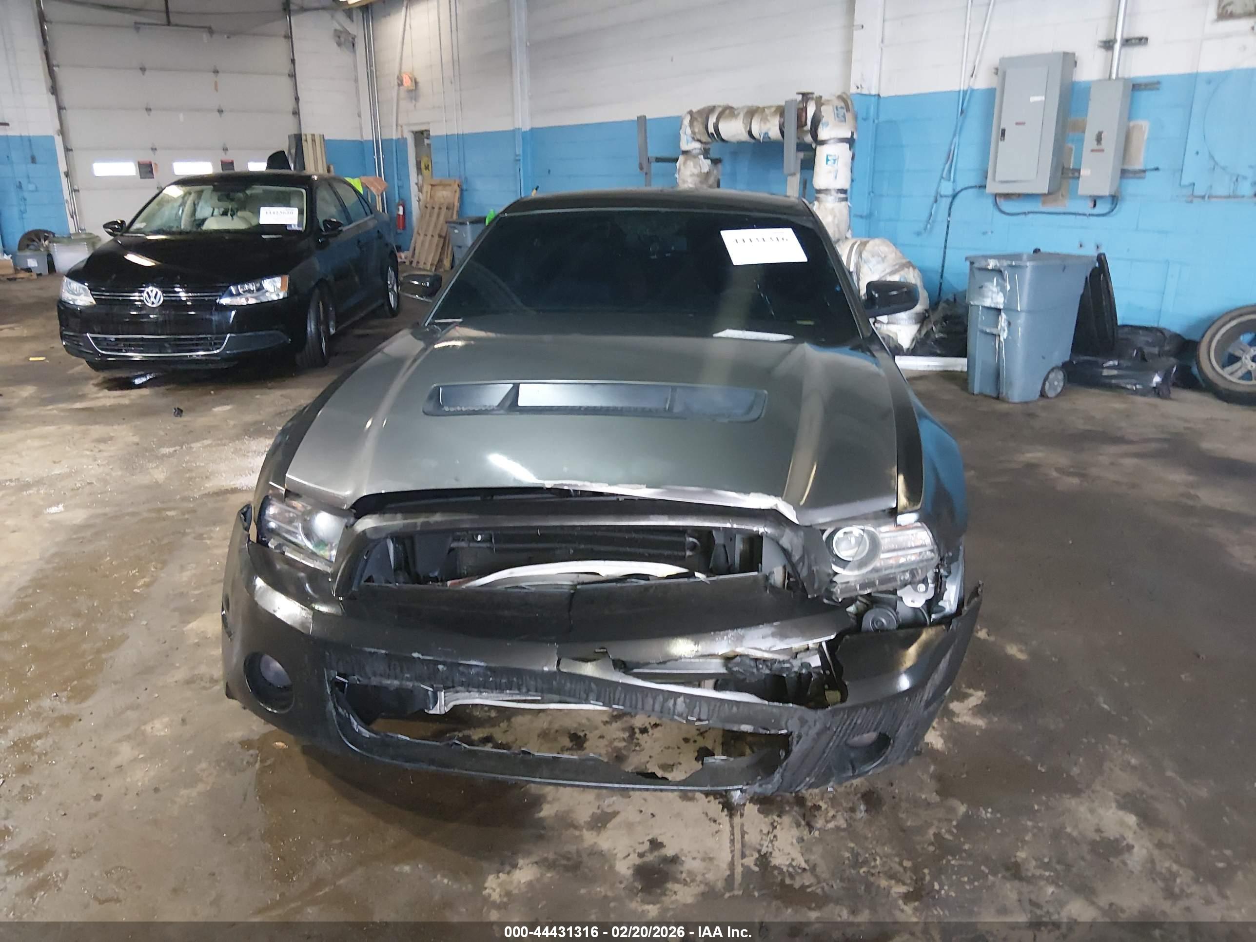 FORD SHELBY image 6