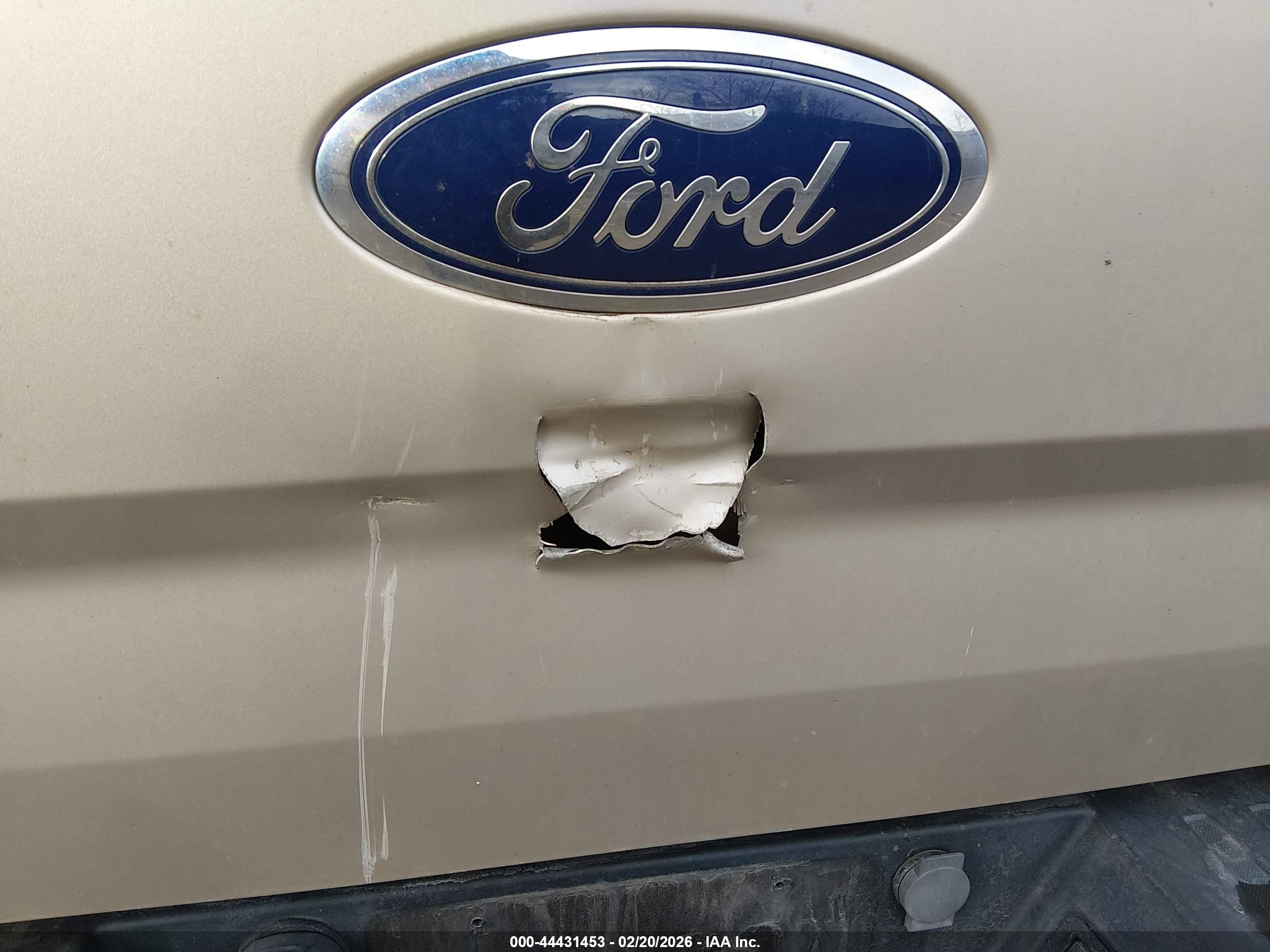 FORD F-150 image 6