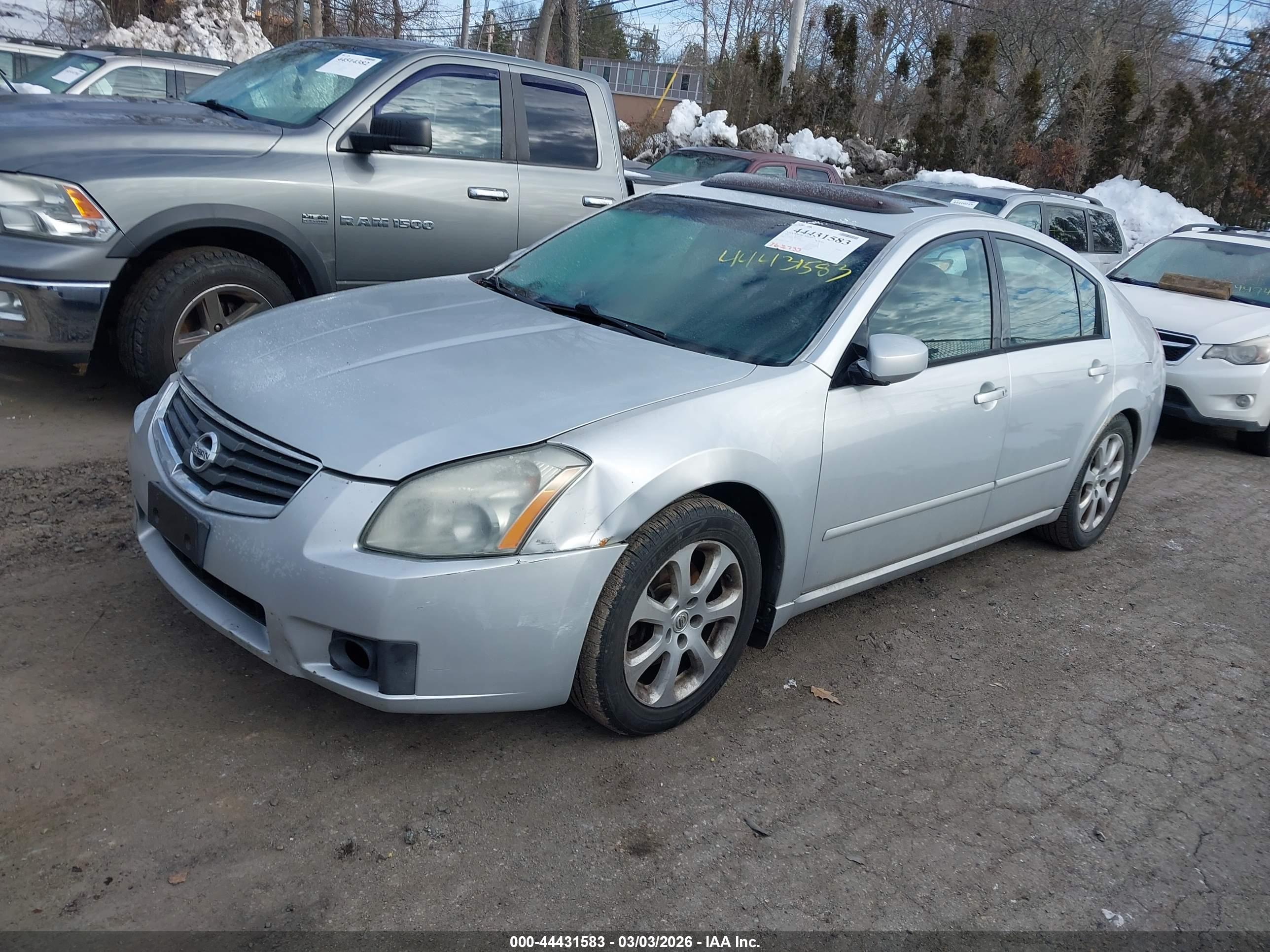NISSAN MAXIMA image 2