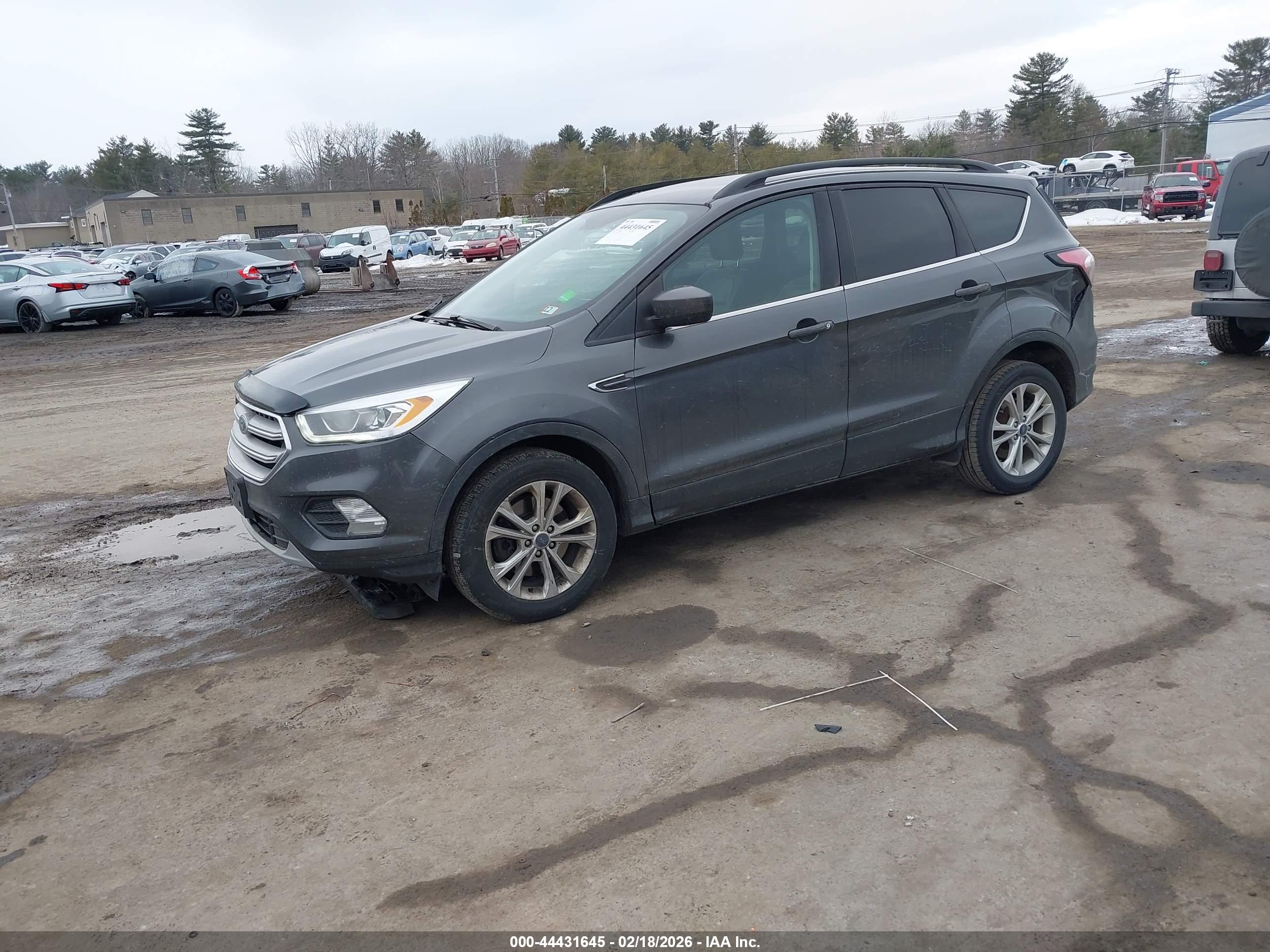 FORD ESCAPE image 2