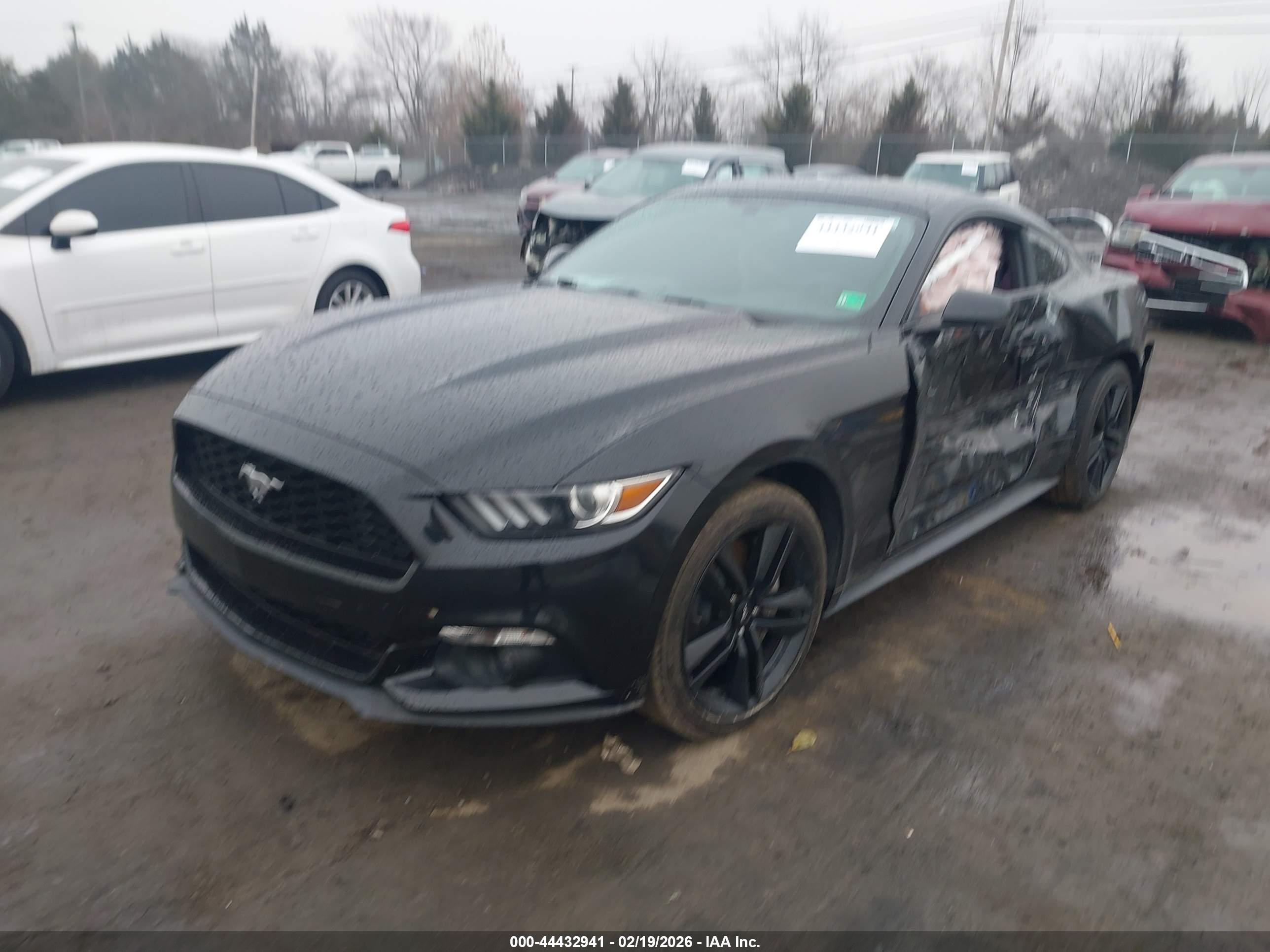 FORD MUSTANG image 2