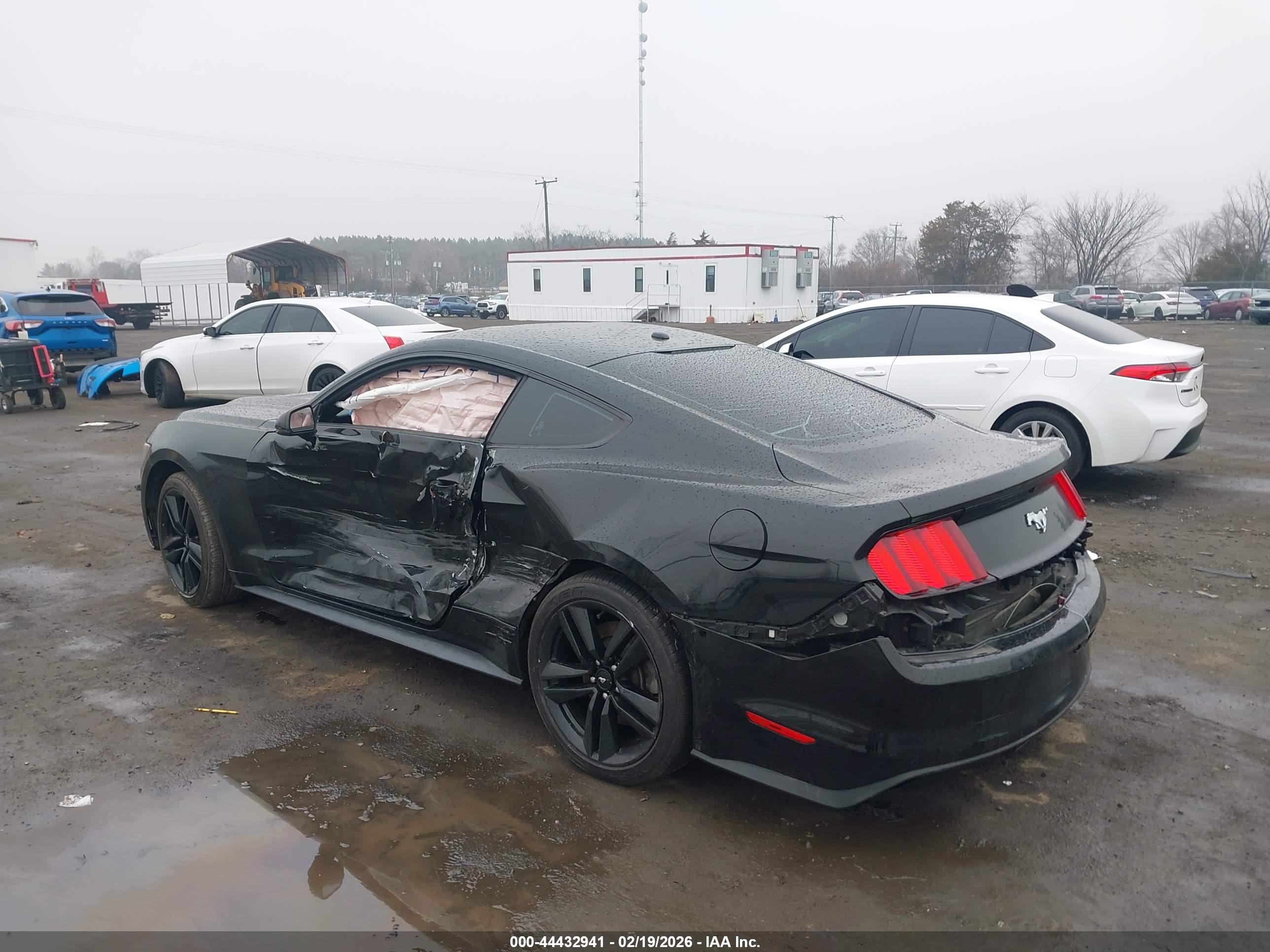 FORD MUSTANG image 3