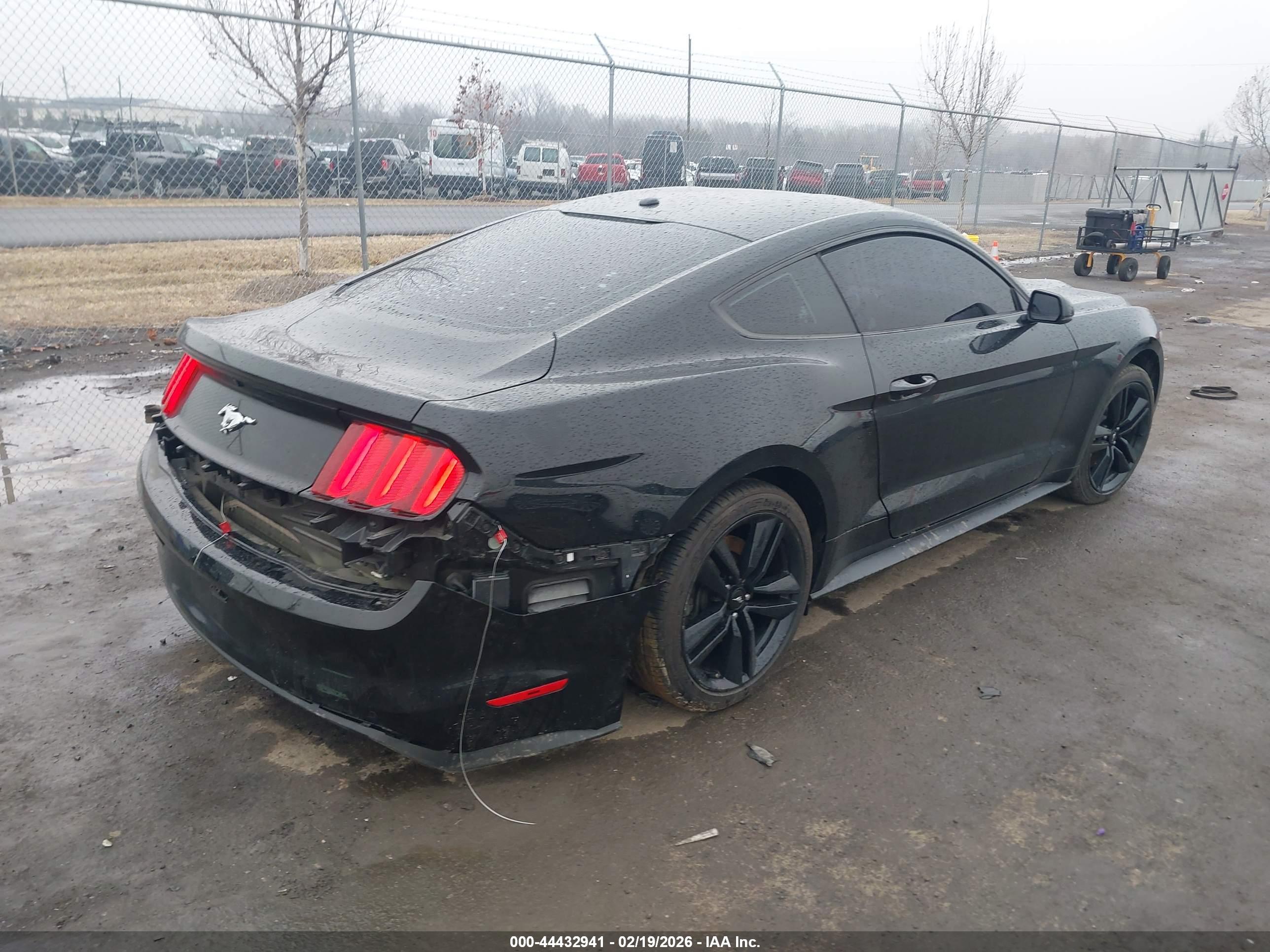 FORD MUSTANG image 4