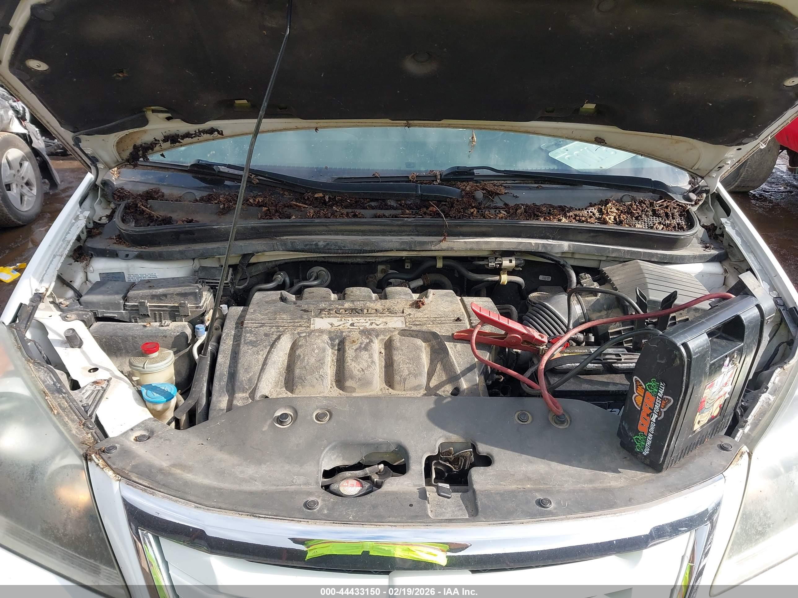 HONDA ODYSSEY image 10