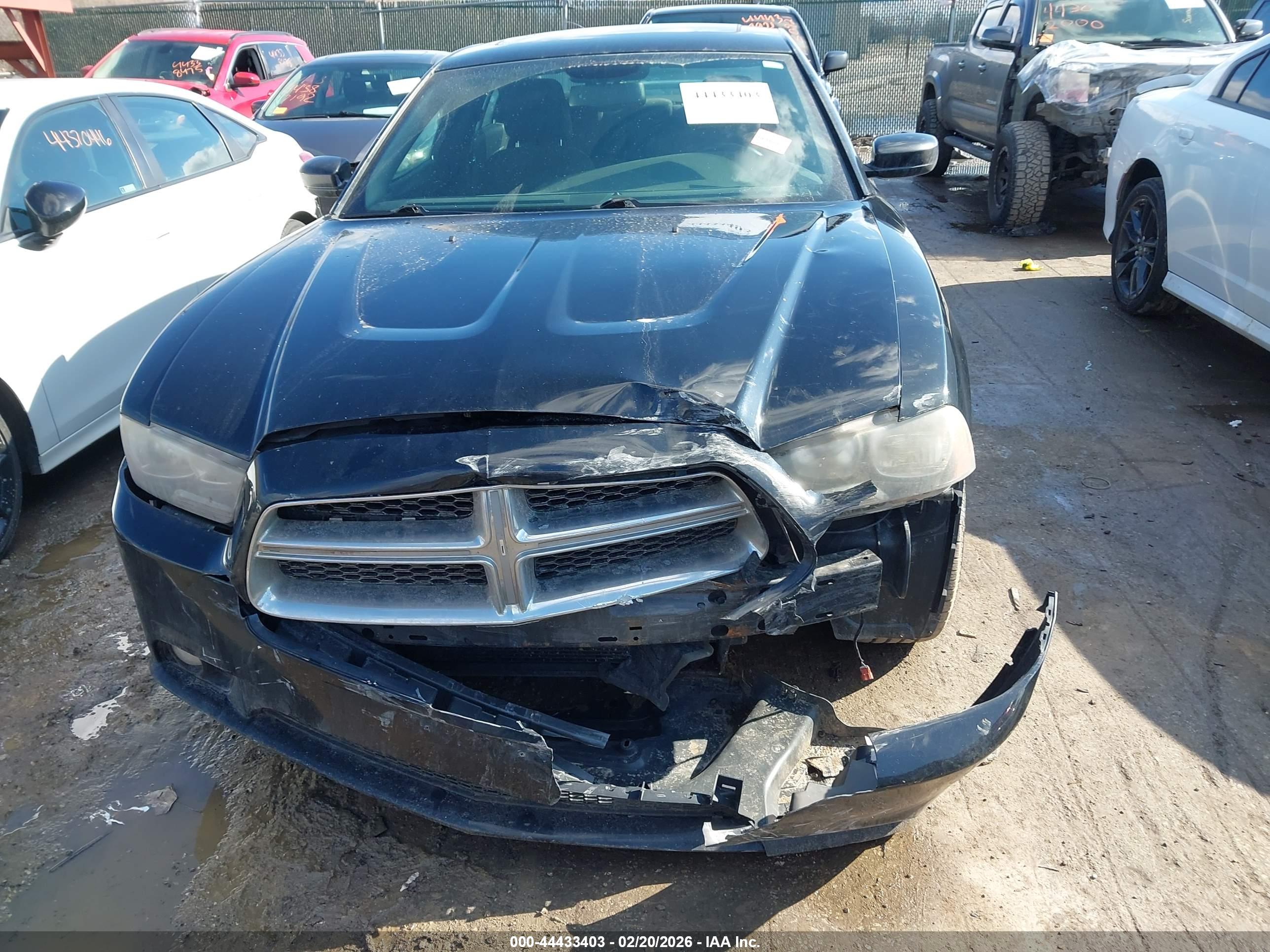 DODGE CHARGER image 6
