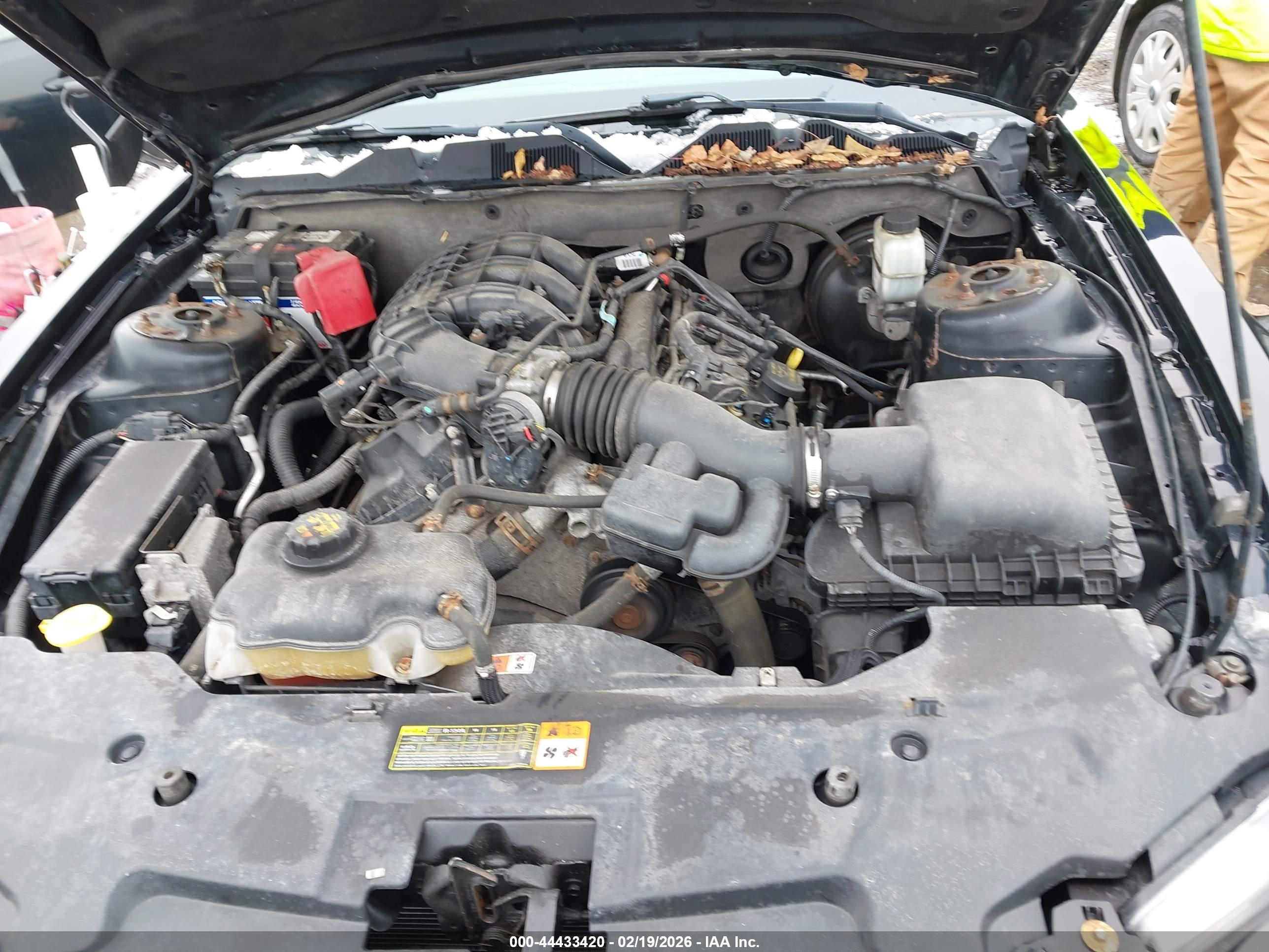 FORD MUSTANG image 10