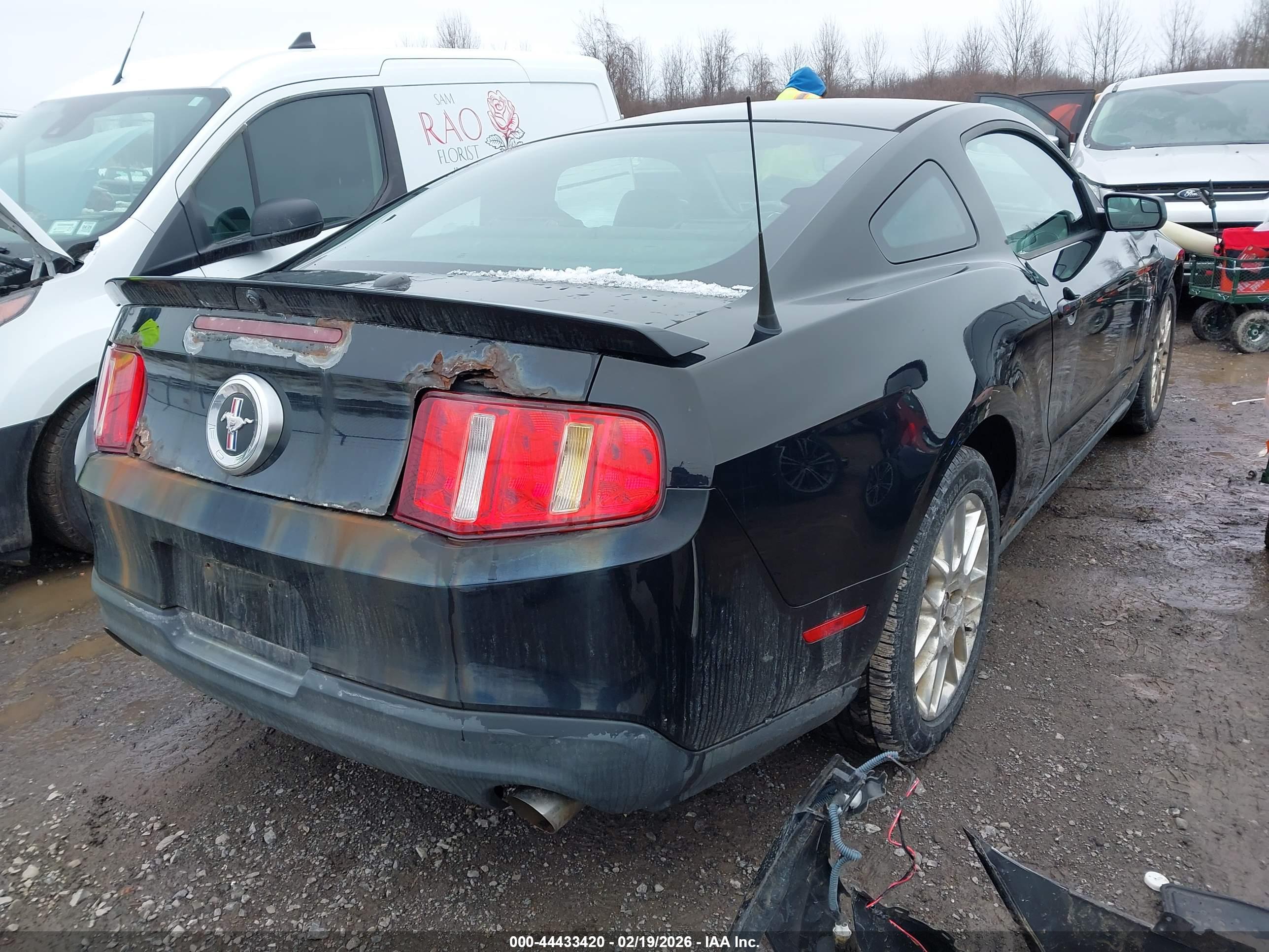 FORD MUSTANG image 4