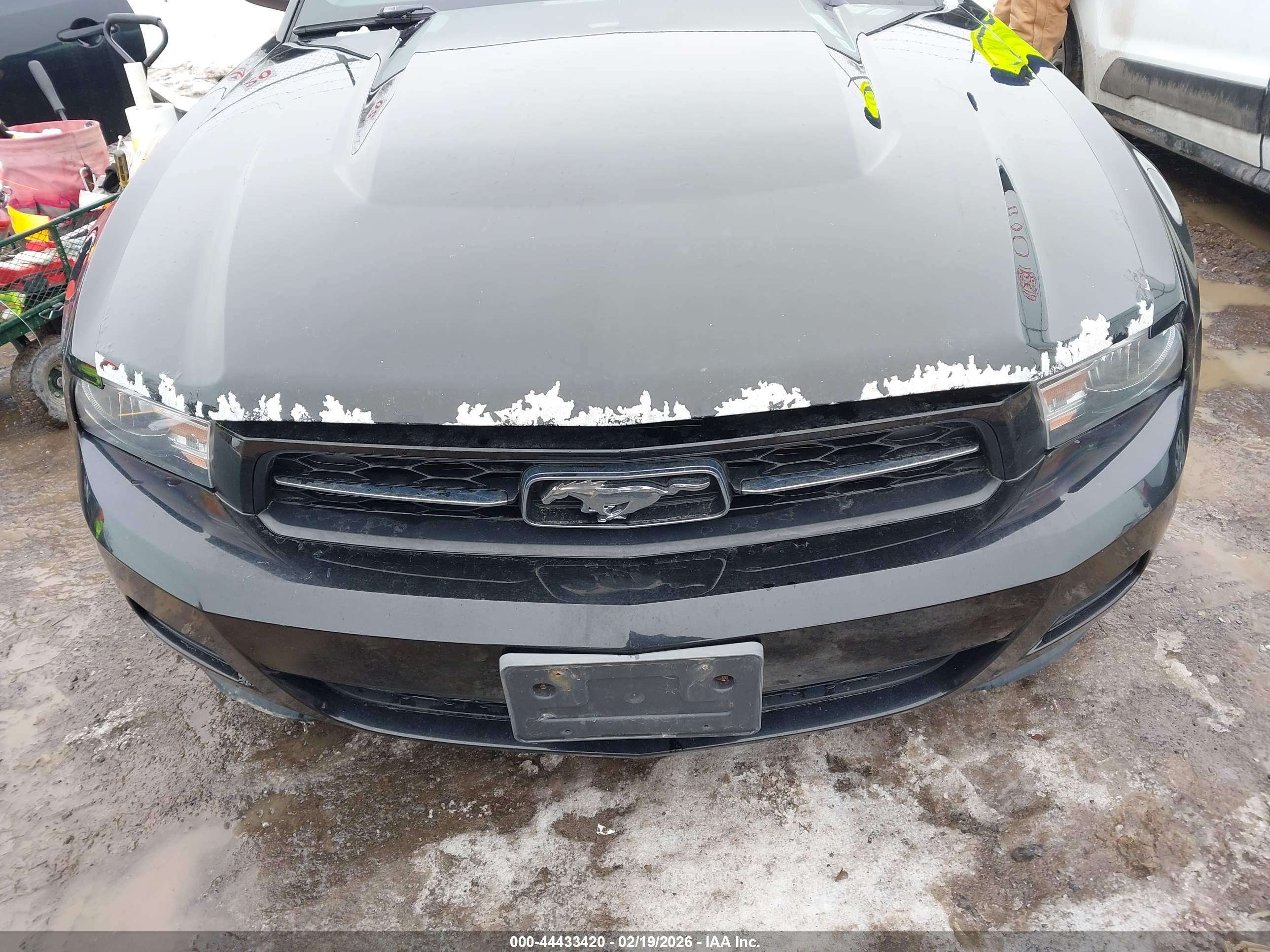 FORD MUSTANG image 6