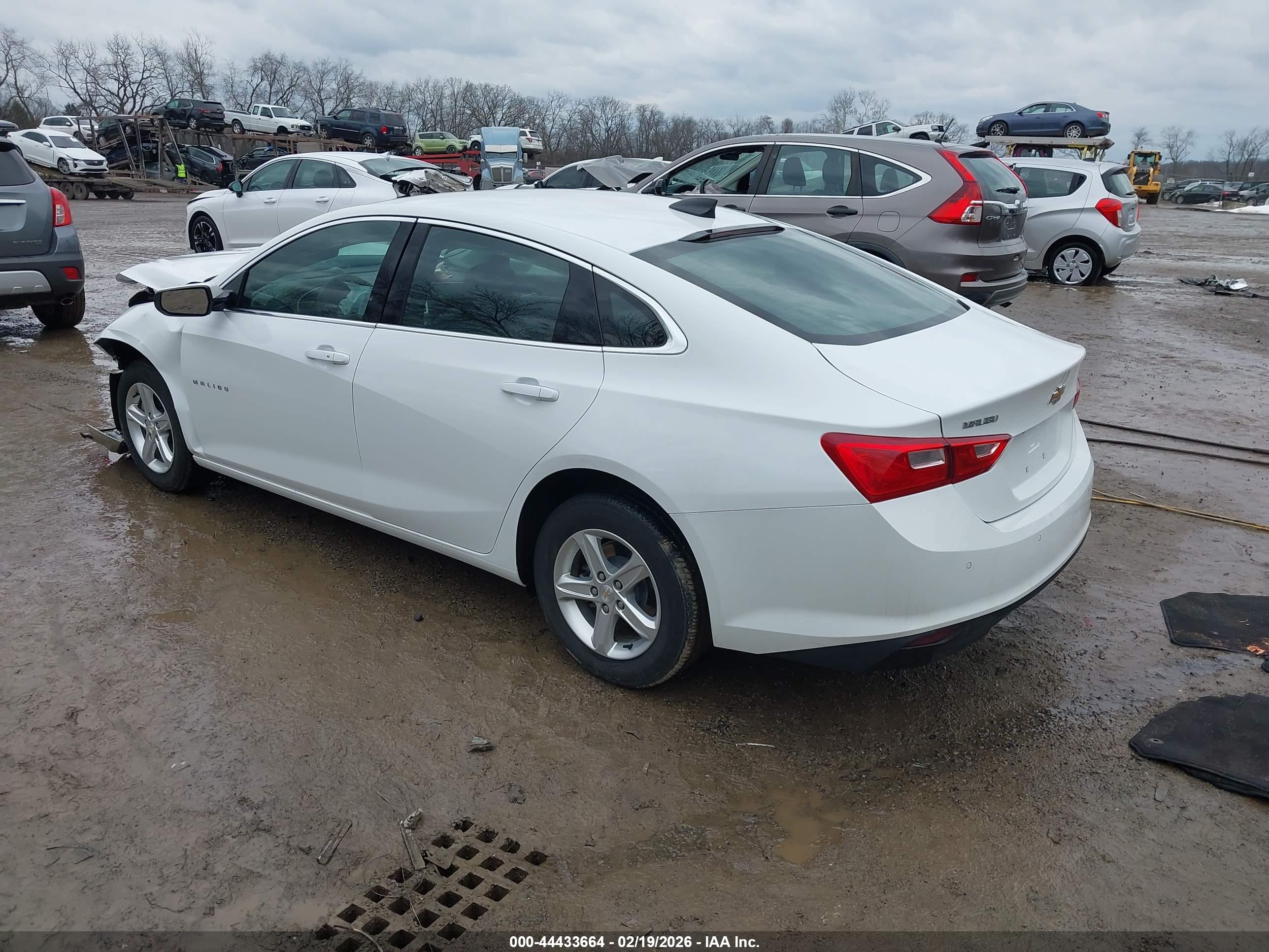 CHEVROLET MALIBU image 3