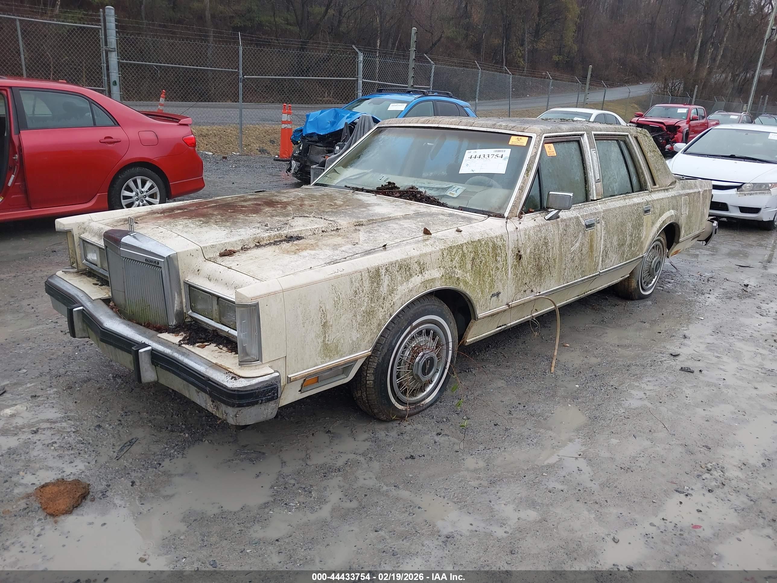 LINCOLN TOWN image 2