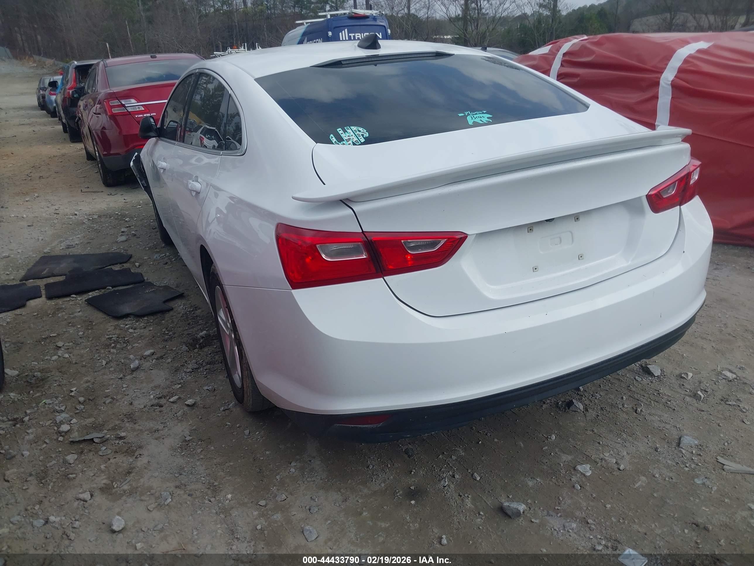 CHEVROLET MALIBU image 3