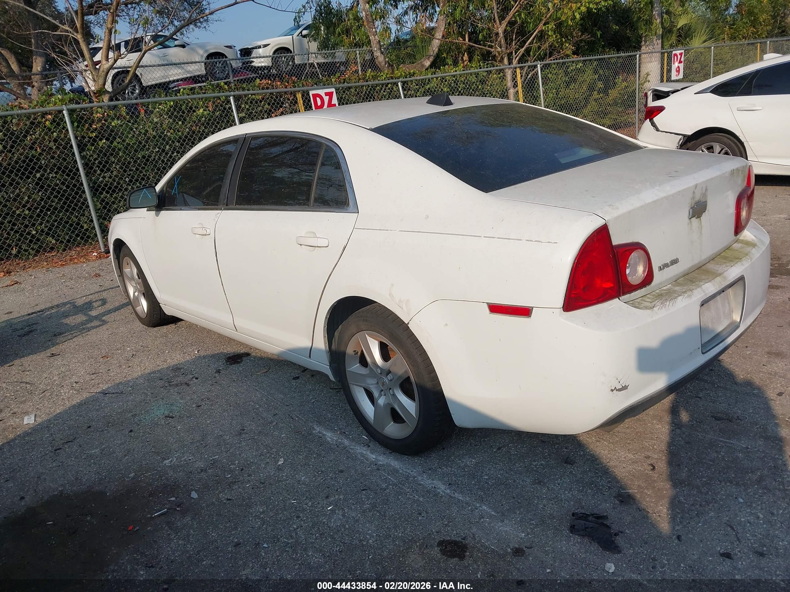 CHEVROLET MALIBU image 3
