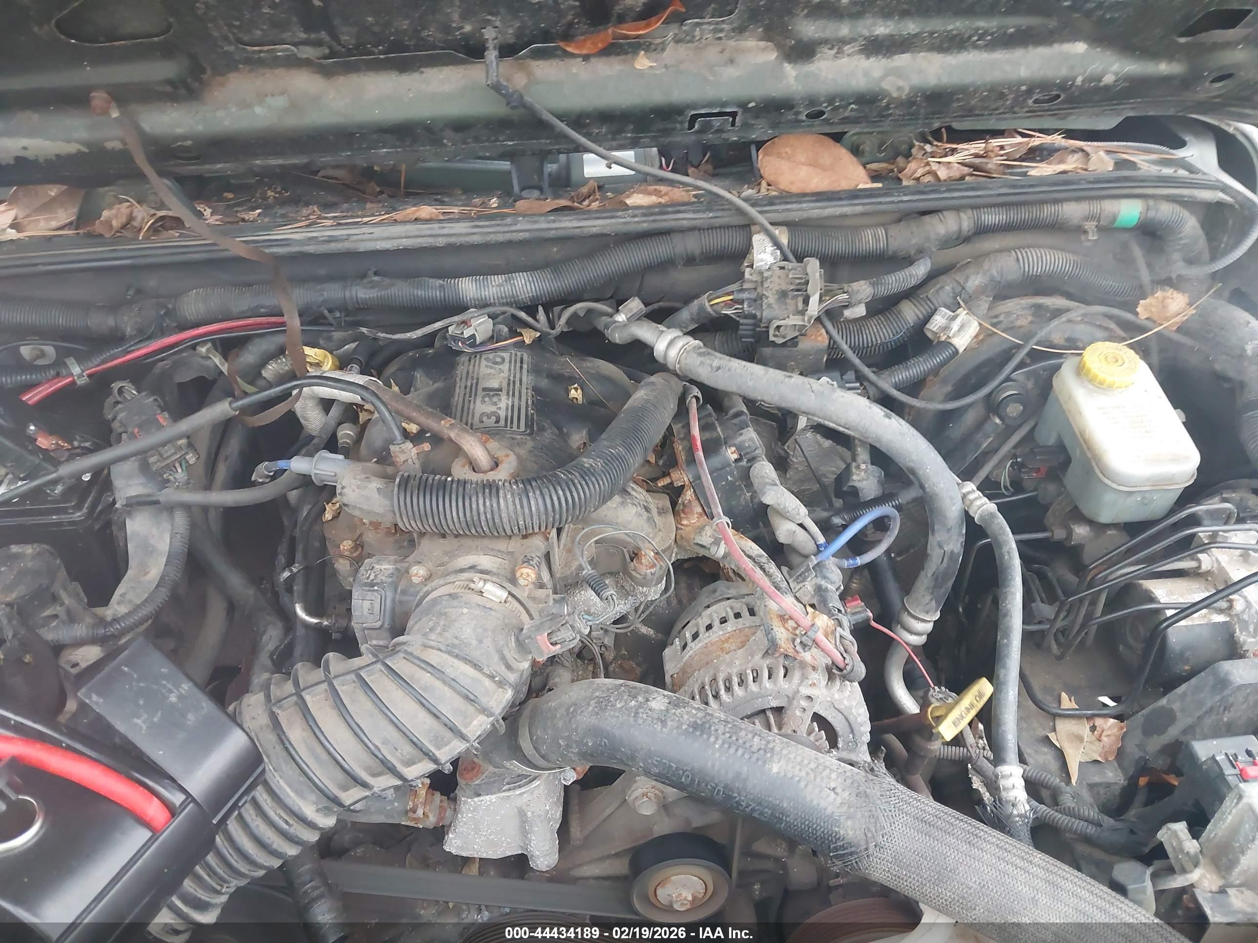 JEEP WRANGLER image 10