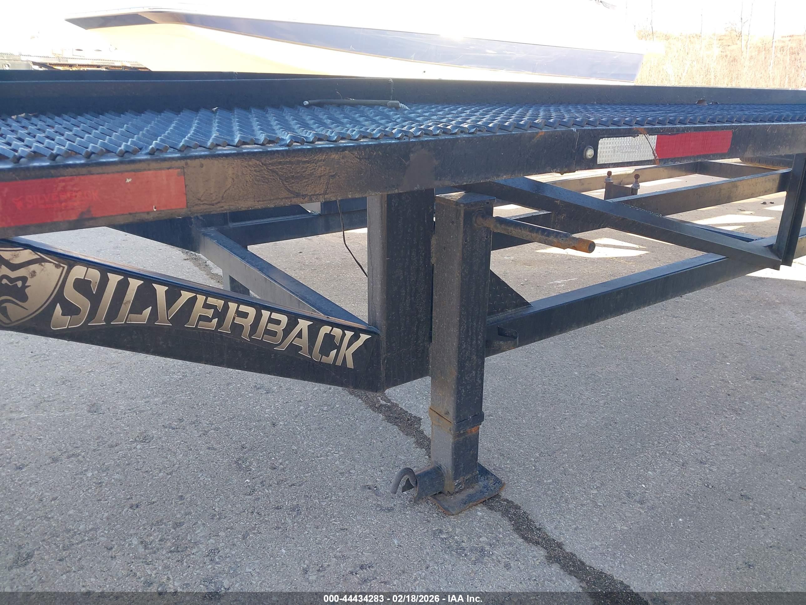 SILVERBACK TRAILER image 11