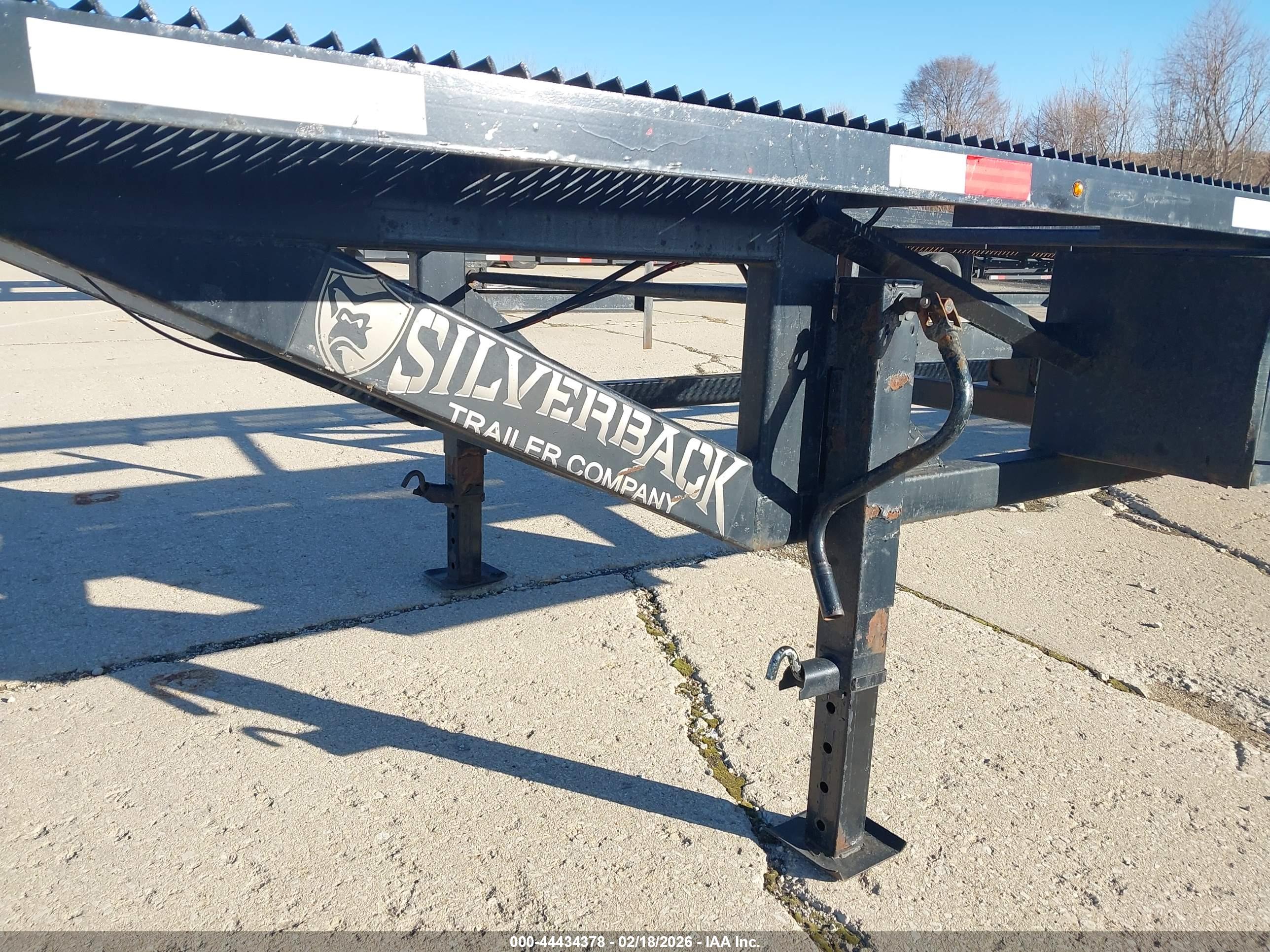 SILVERBACK TRAILER image 11