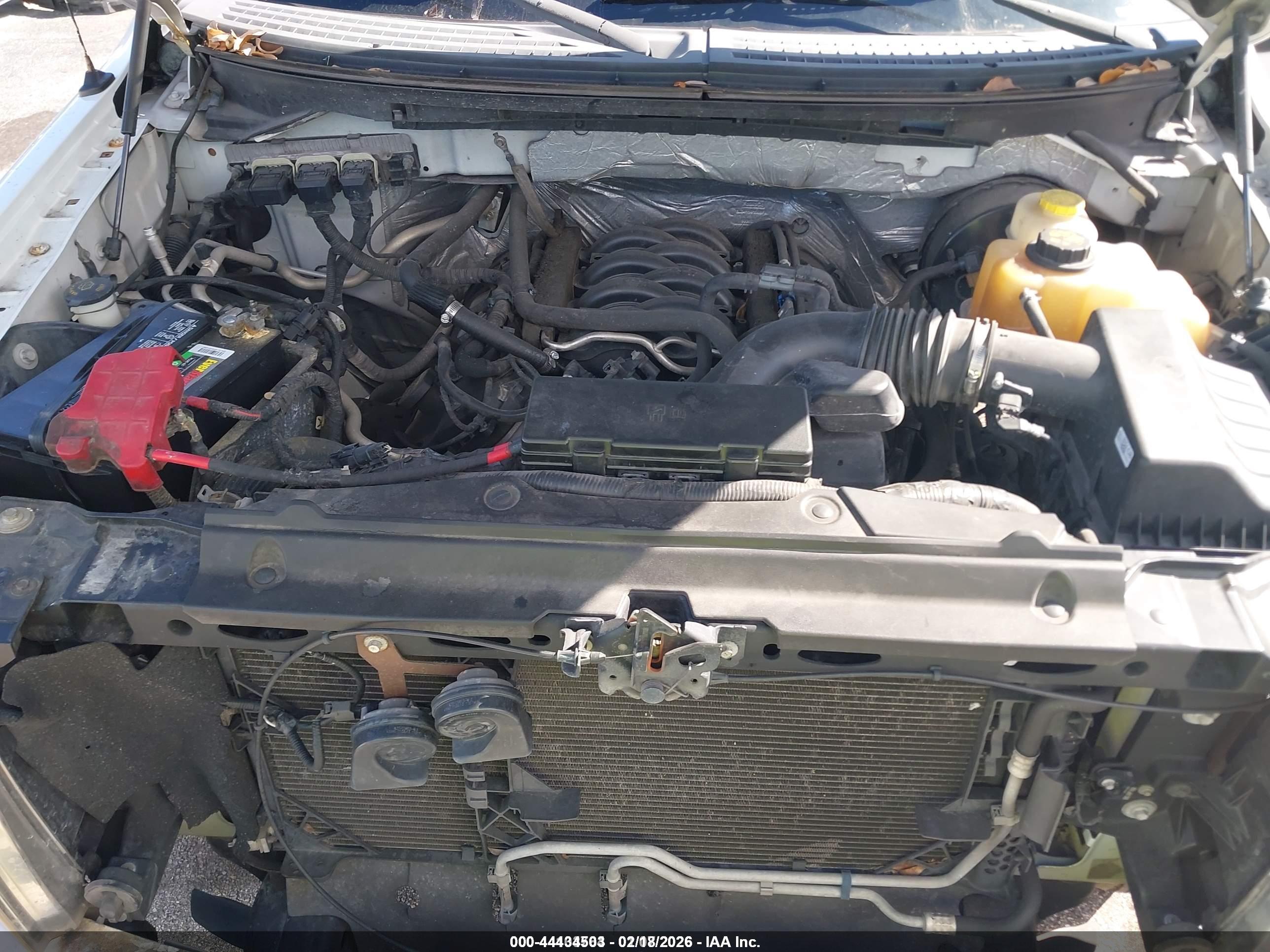 FORD F-150 image 10