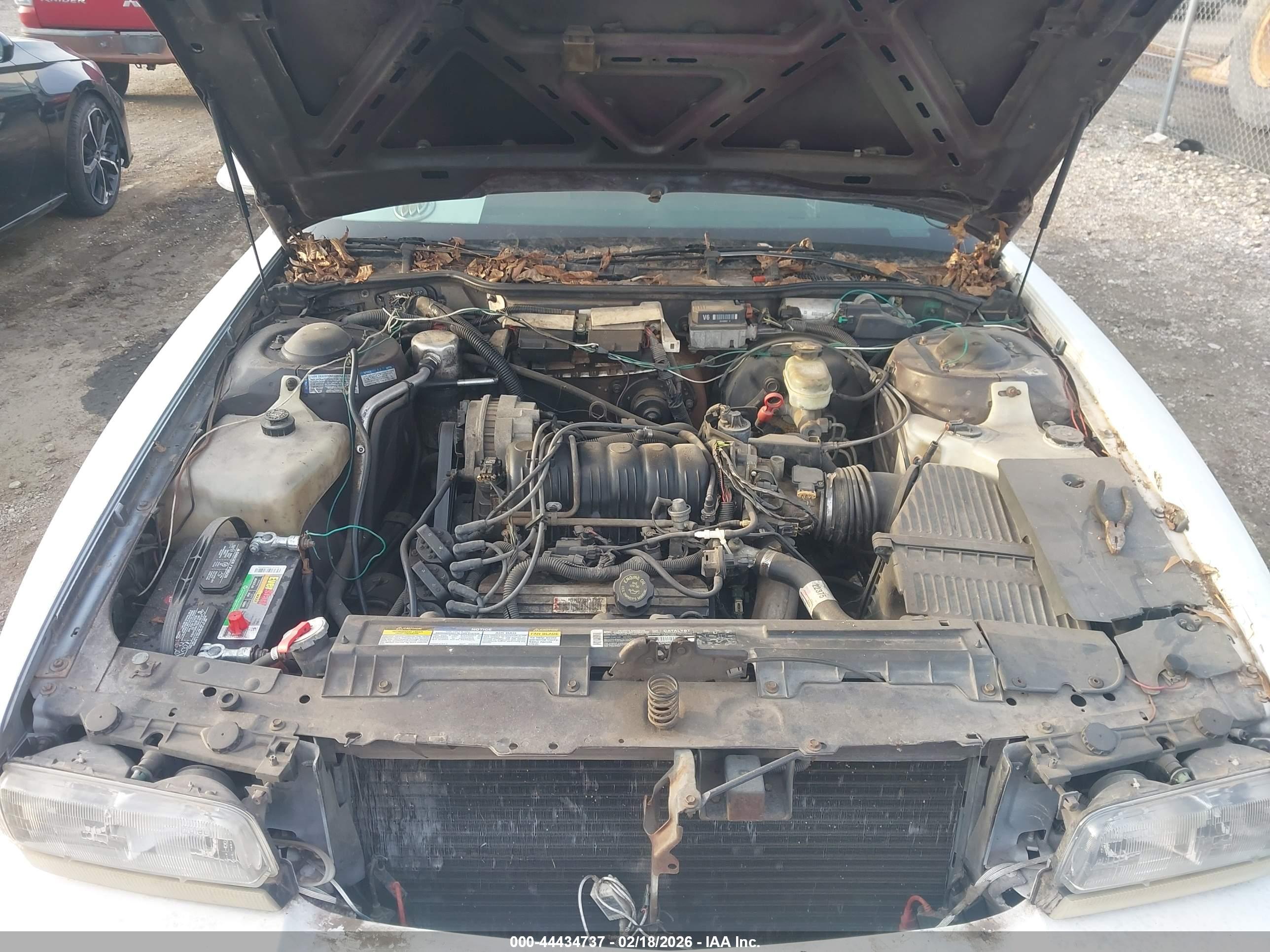 BUICK PARK image 10