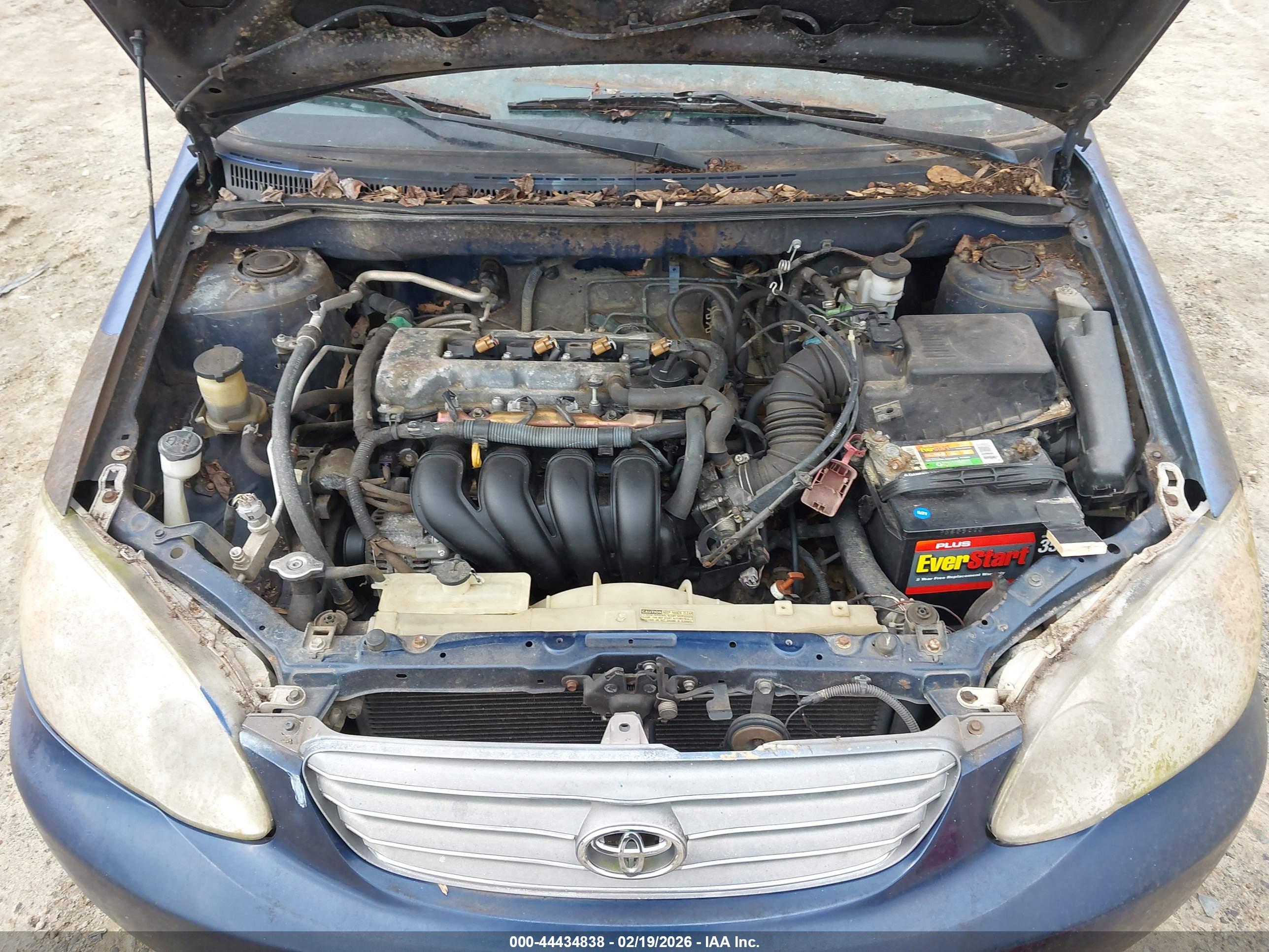 TOYOTA COROLLA image 10