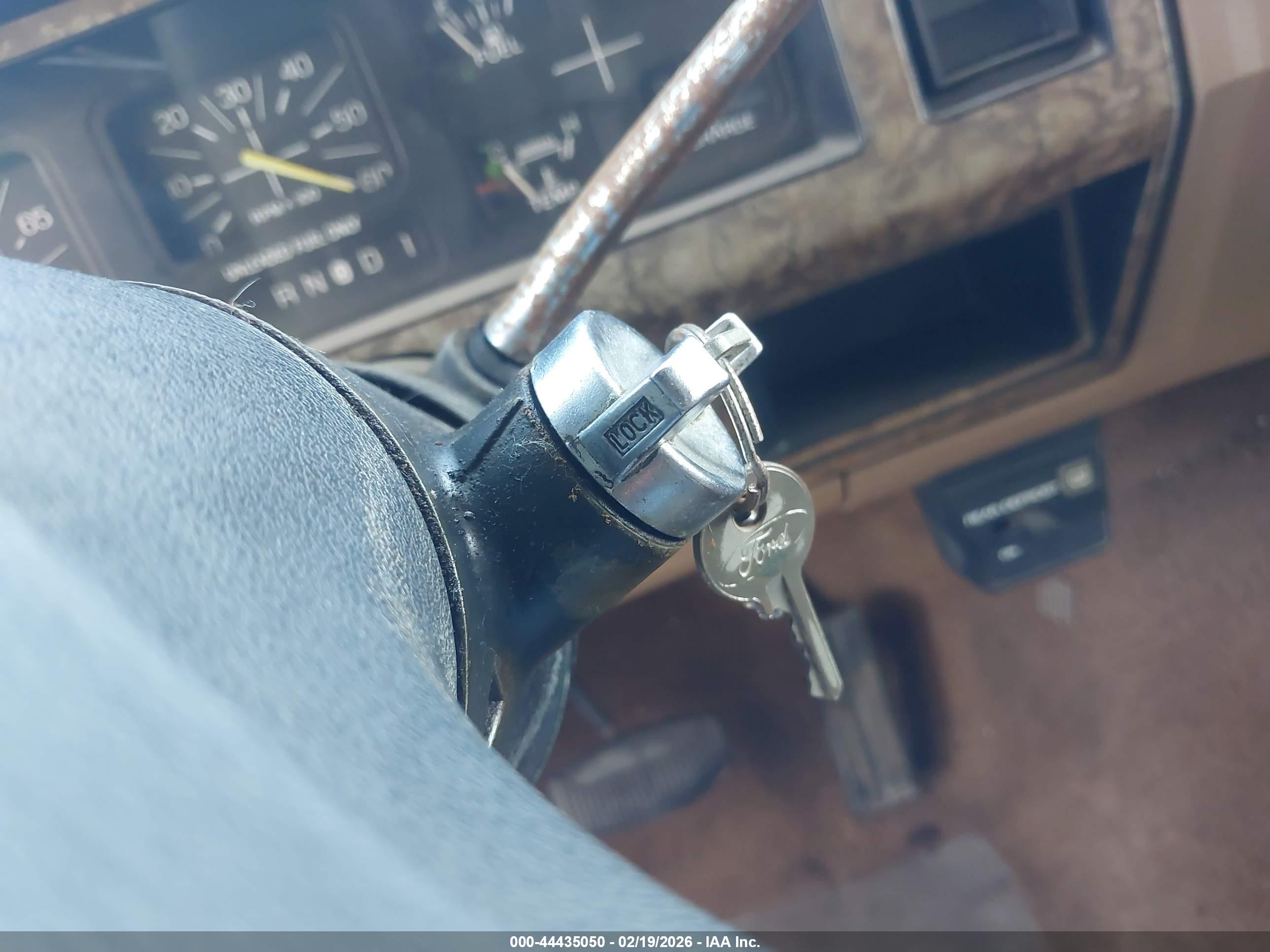 FORD BRONCO image 11