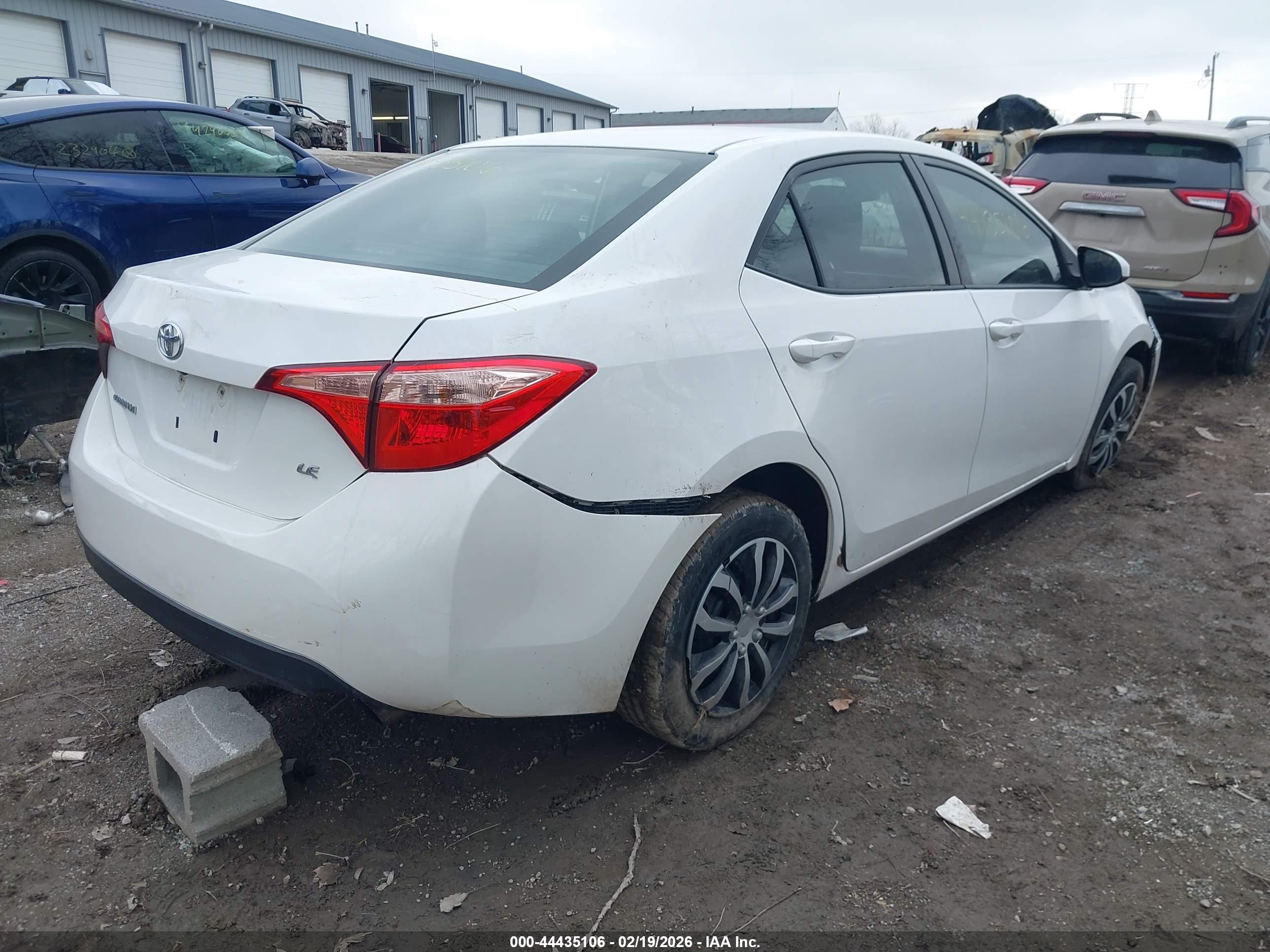 TOYOTA COROLLA image 4