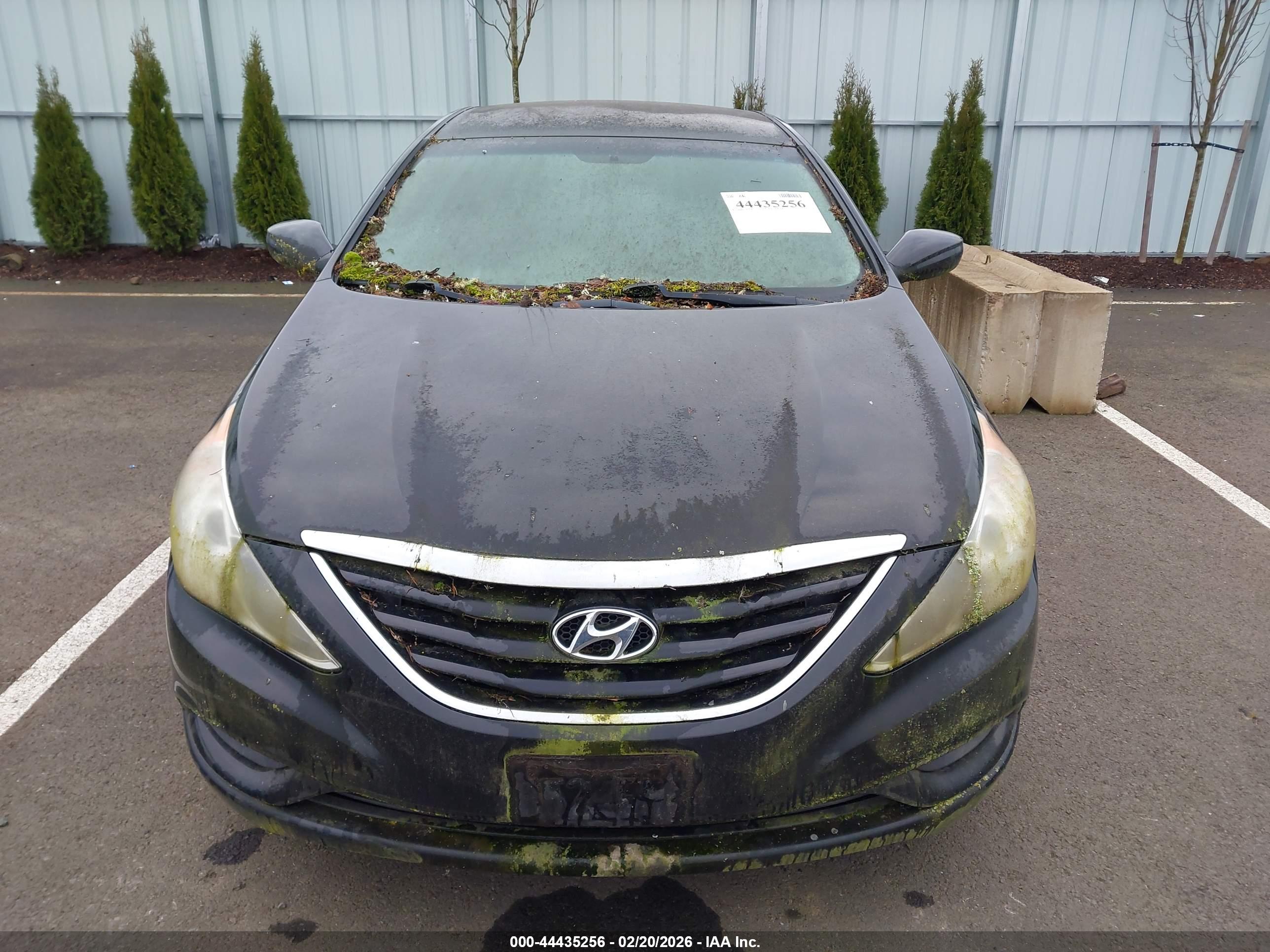 HYUNDAI SONATA image 6