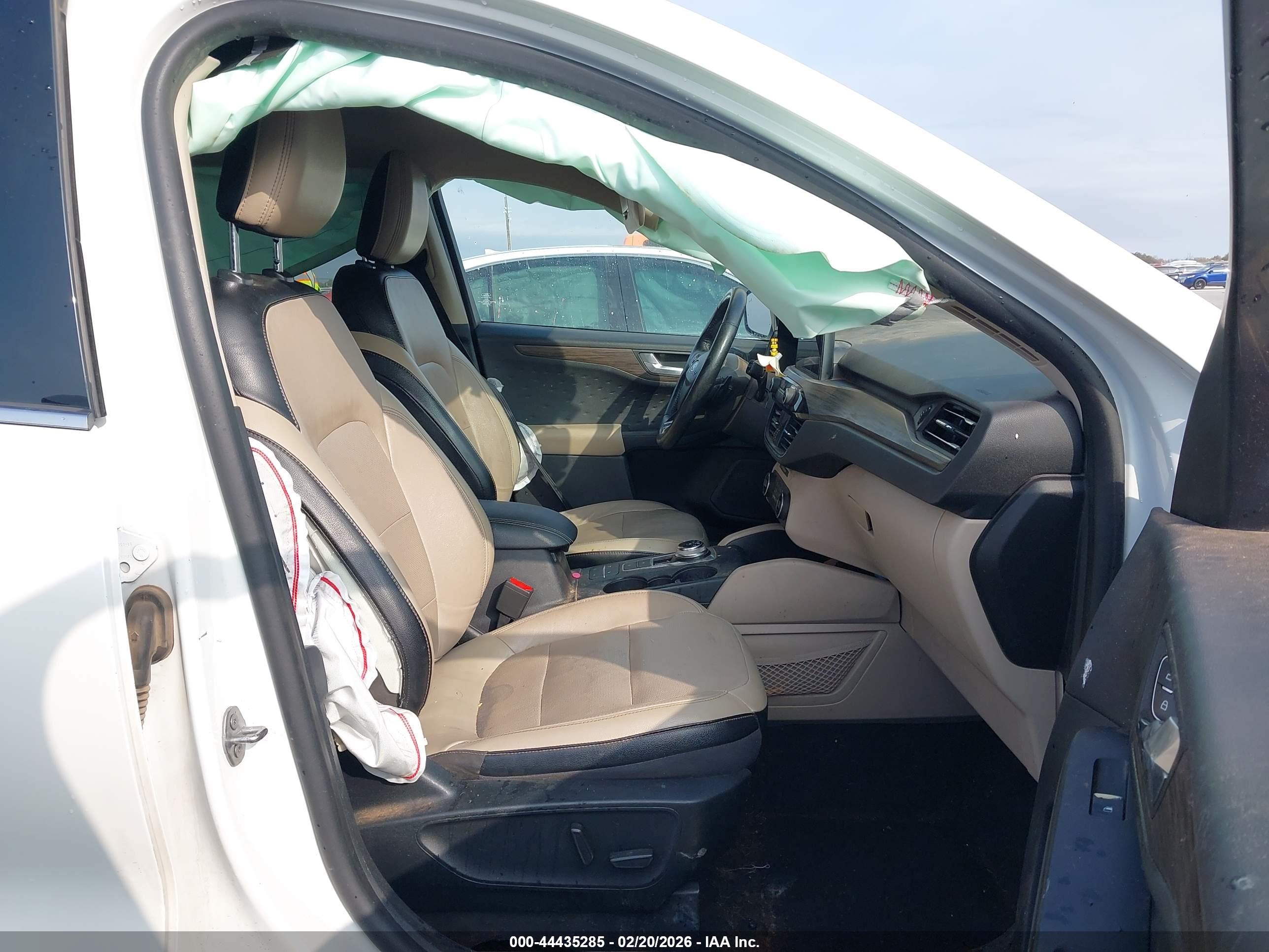 FORD ESCAPE image 5