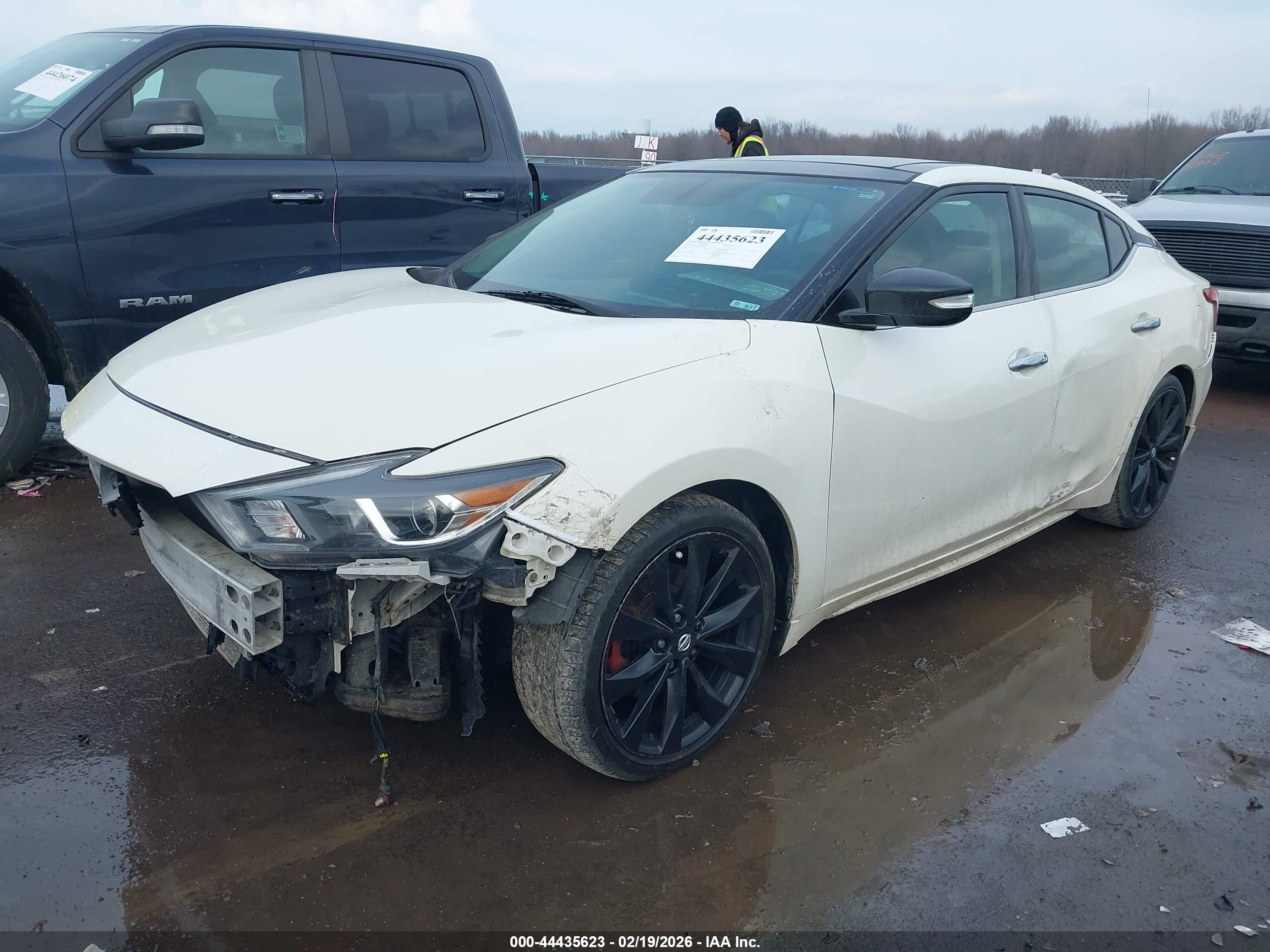 NISSAN MAXIMA image 2