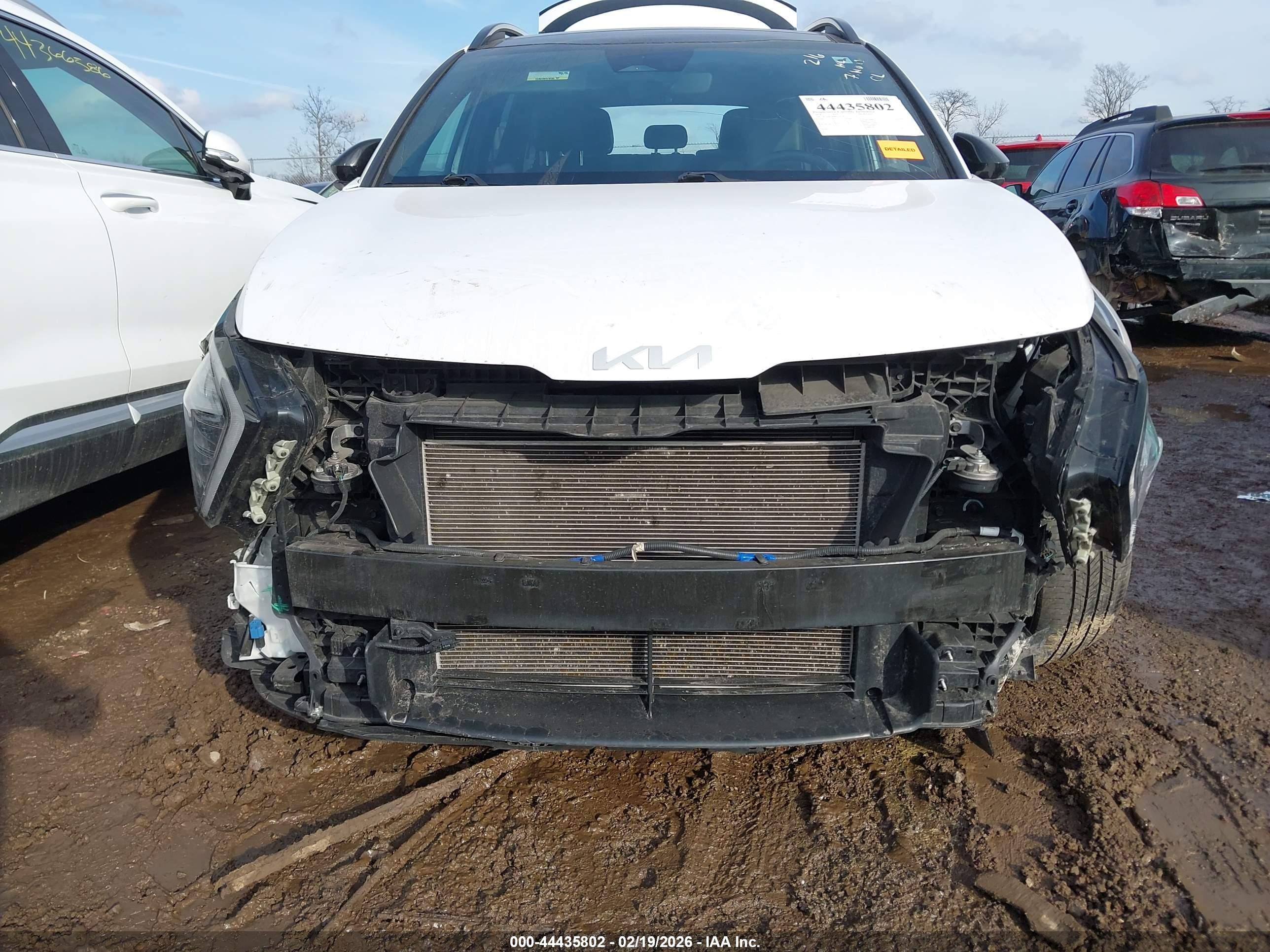KIA SPORTAGE image 6