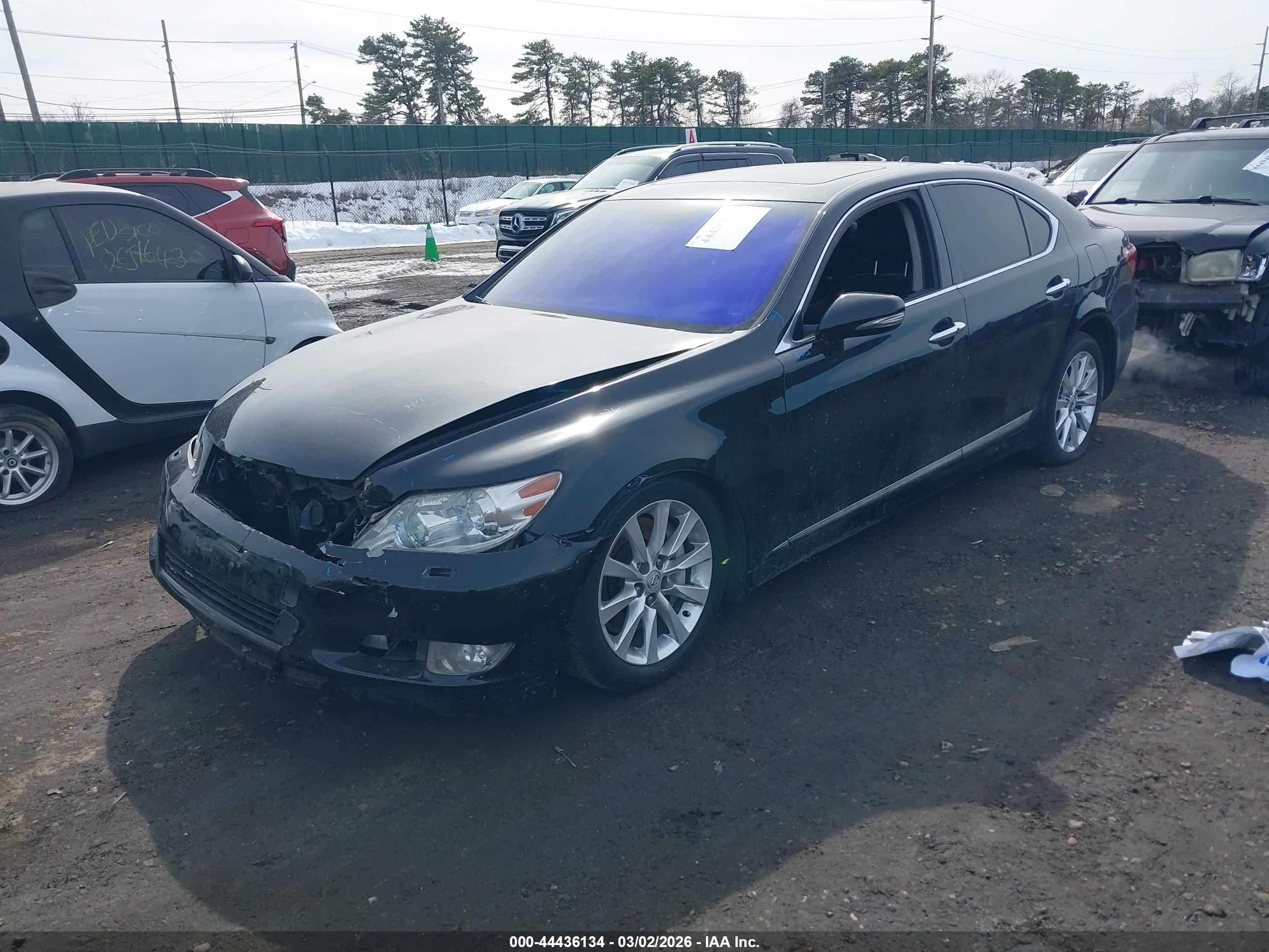 LEXUS LS image 2