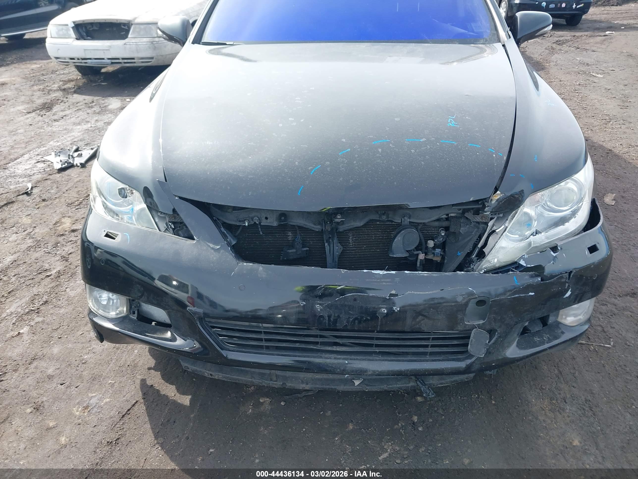 LEXUS LS image 6