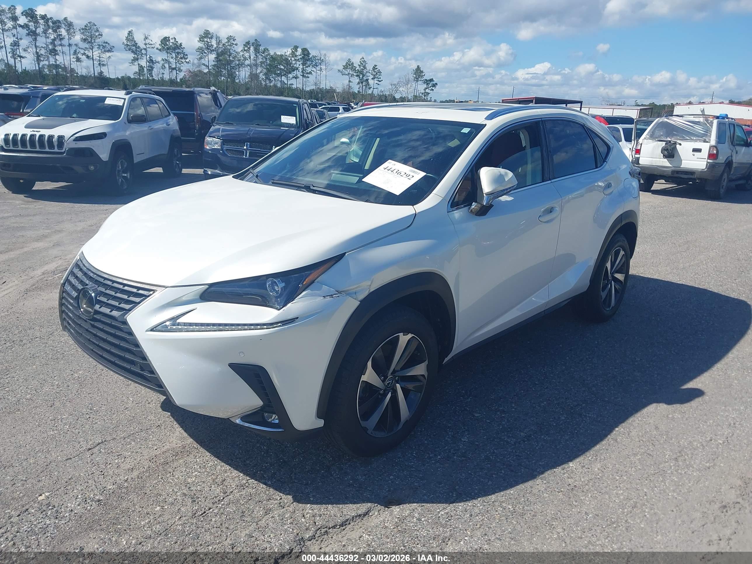 LEXUS NX image 2
