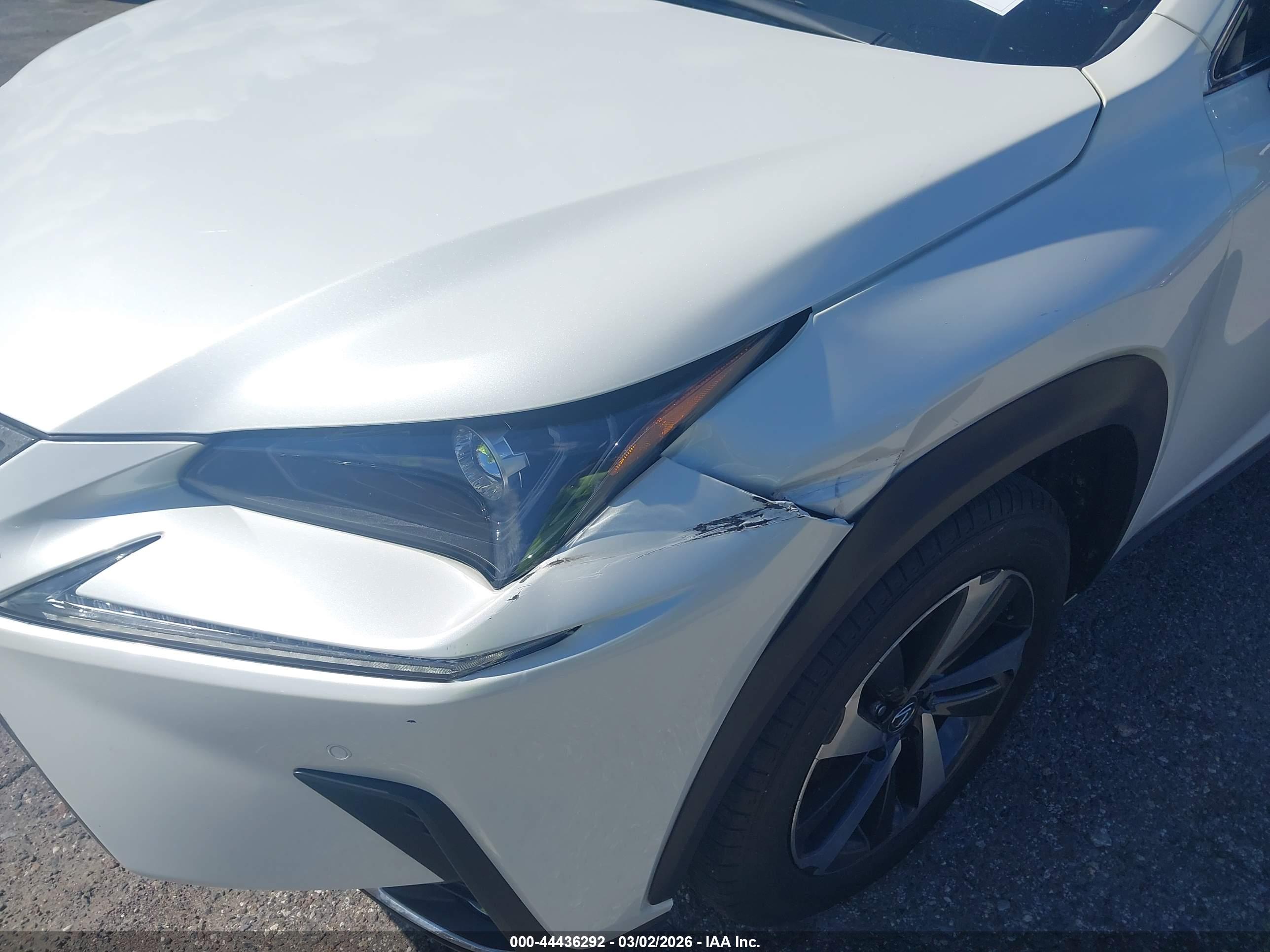 LEXUS NX image 6
