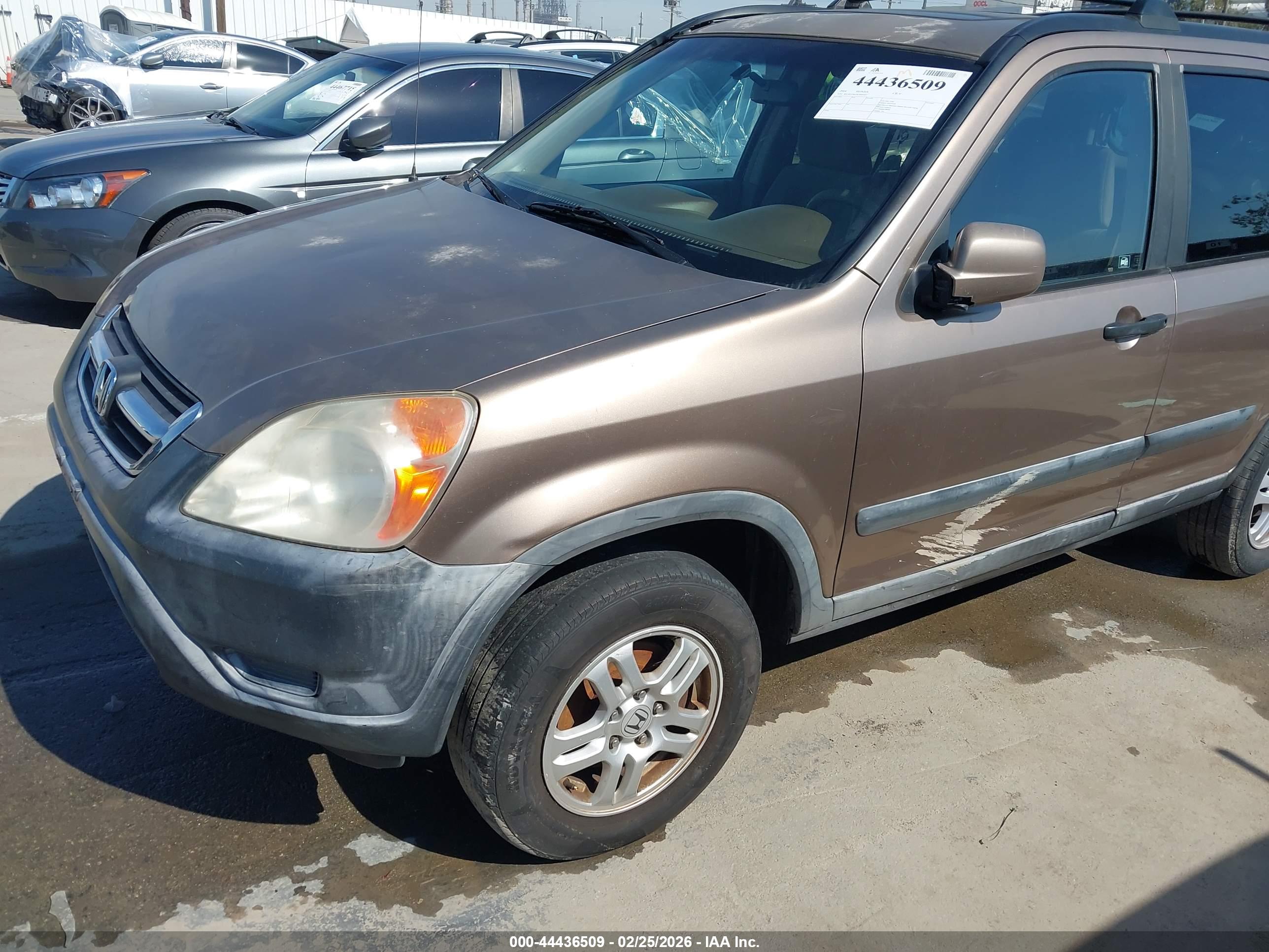 HONDA CR-V image 6